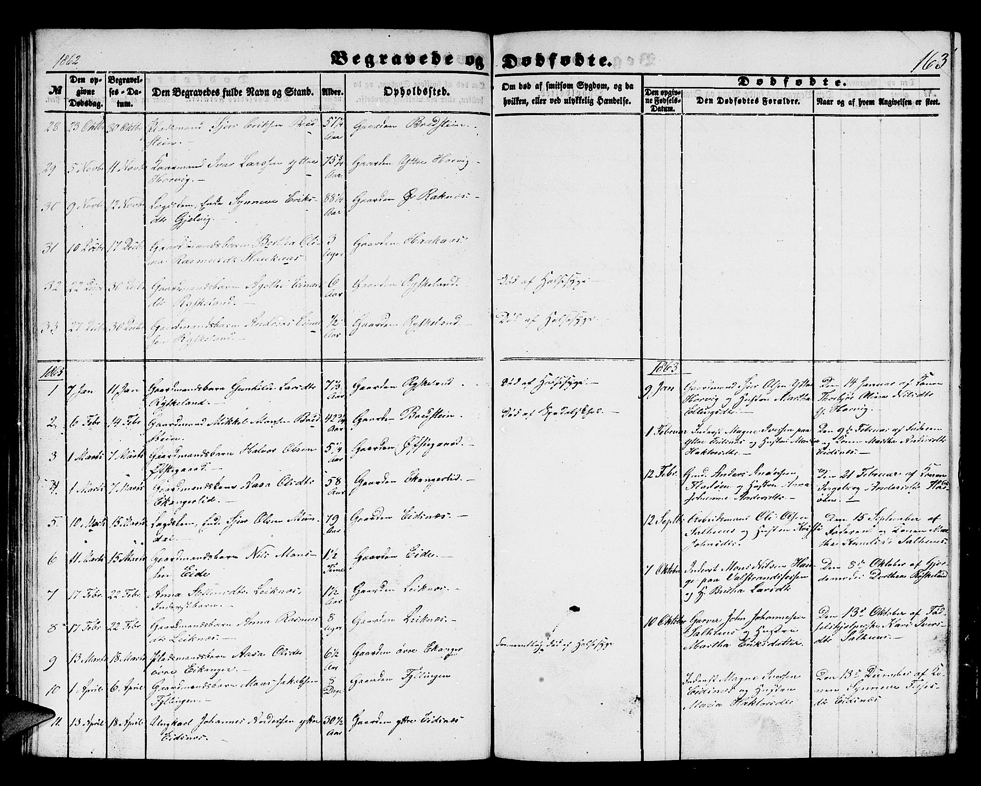 Hamre sokneprestembete, SAB/A-75501/H/Ha/Hab: Parish register (copy) no. B 1, 1852-1863, p. 163