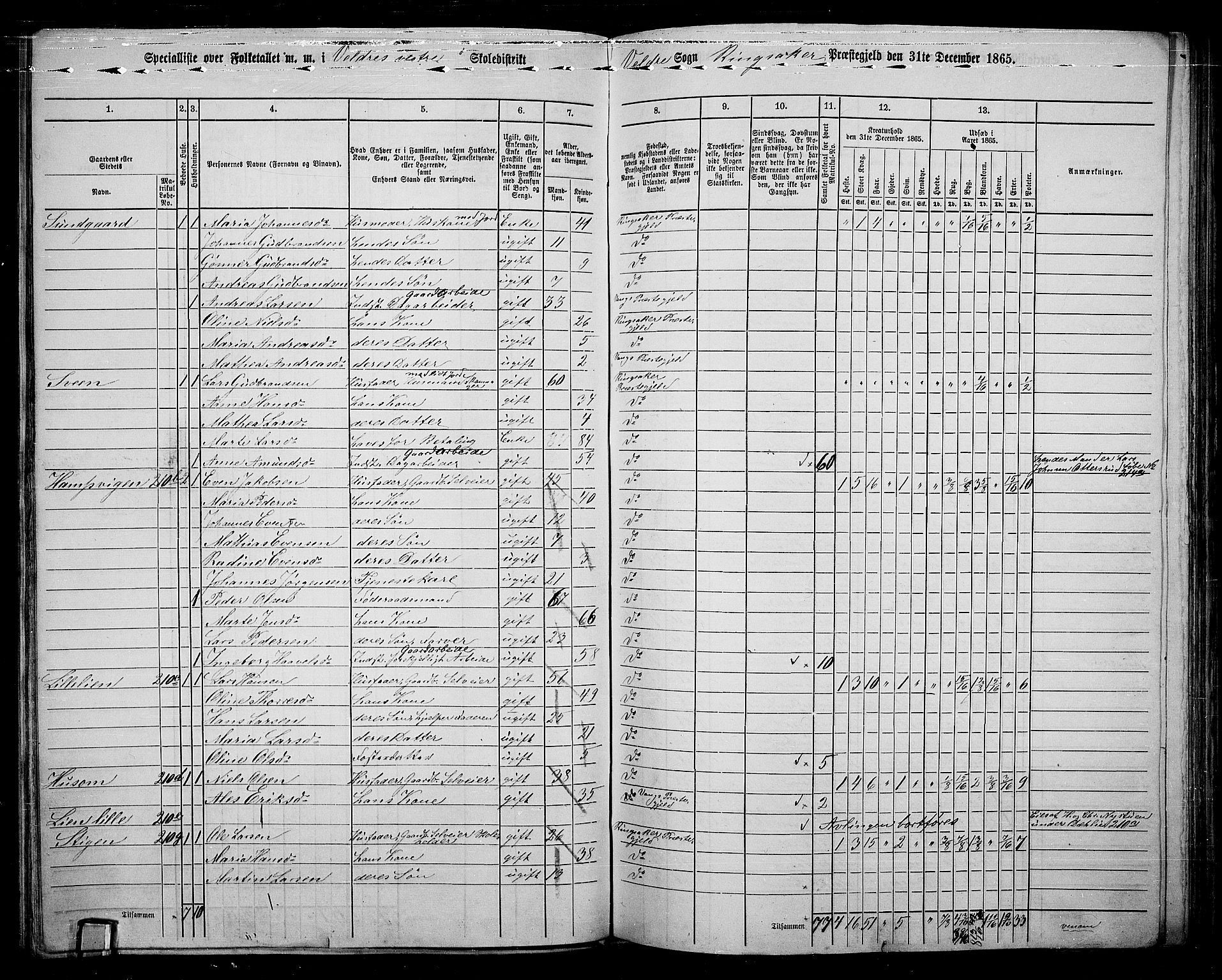 RA, 1865 census for Ringsaker, 1865, p. 160