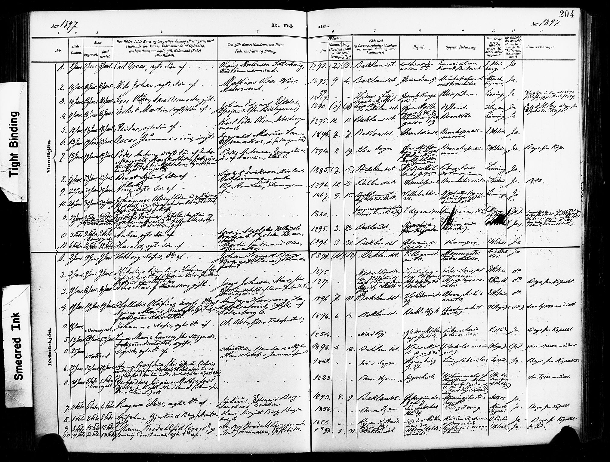 Ministerialprotokoller, klokkerbøker og fødselsregistre - Sør-Trøndelag, SAT/A-1456/604/L0198: Parish register (official) no. 604A19, 1893-1900, p. 204