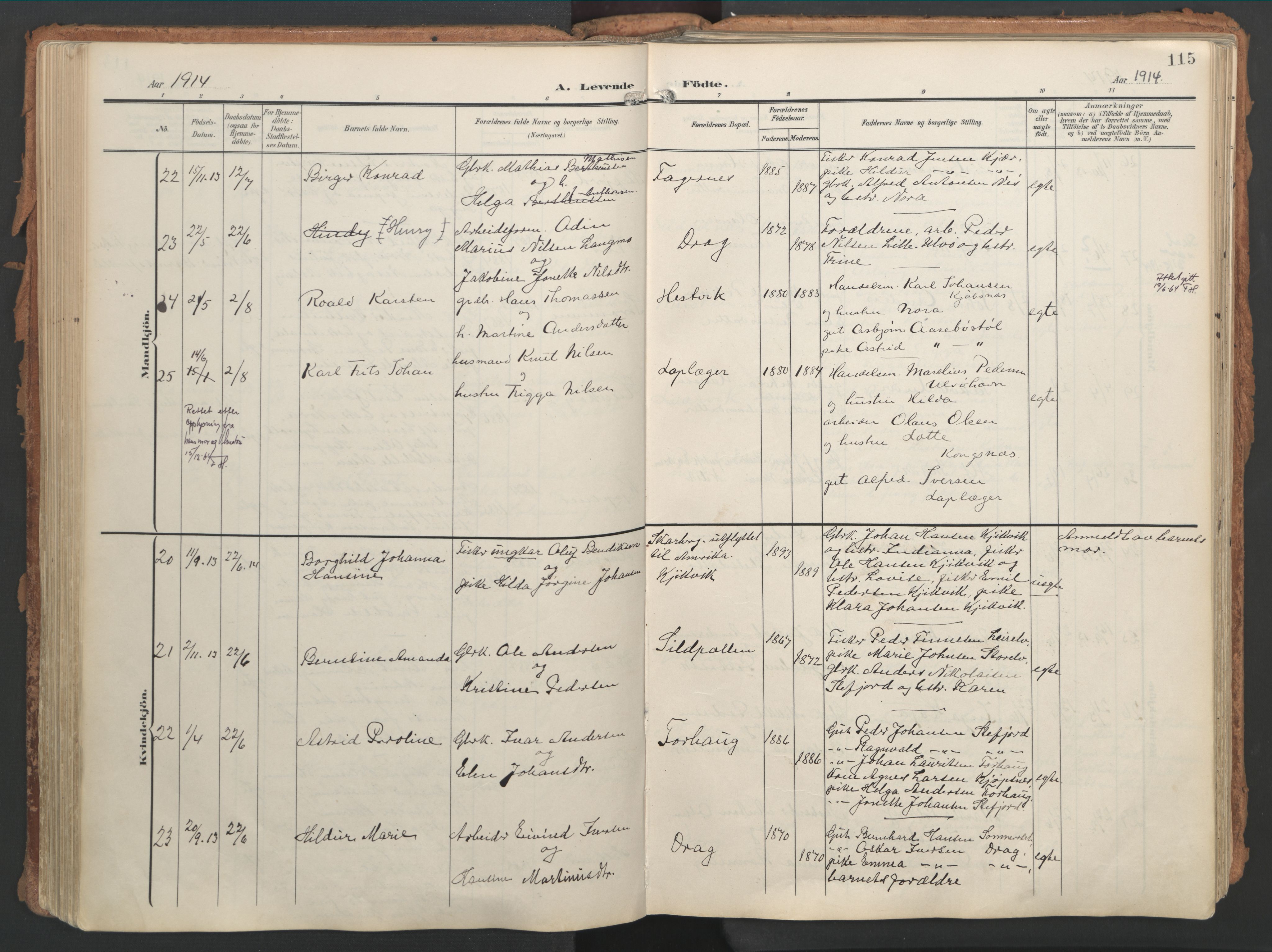 Ministerialprotokoller, klokkerbøker og fødselsregistre - Nordland, AV/SAT-A-1459/861/L0871: Parish register (official) no. 861A06, 1903-1916, p. 115