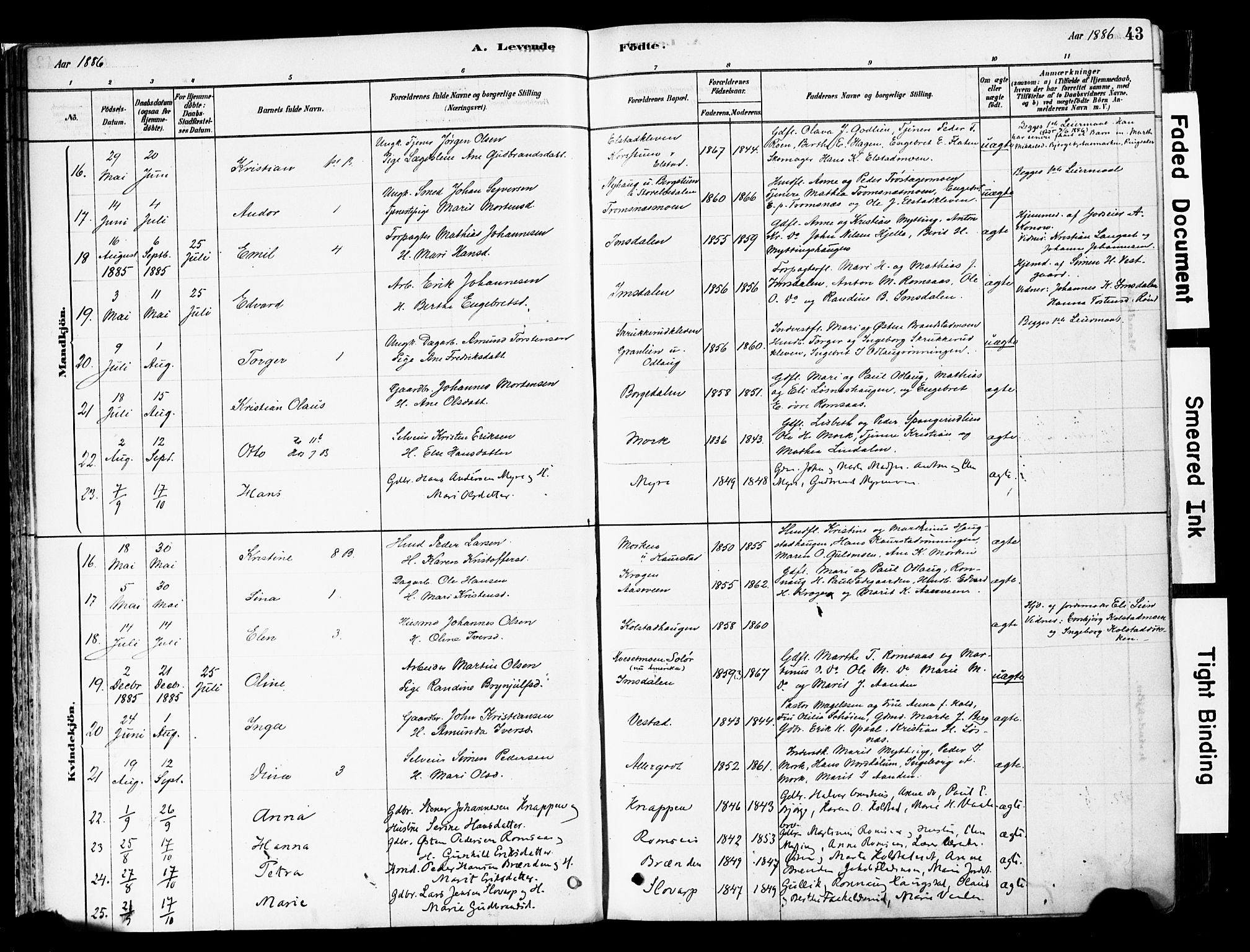 Ringebu prestekontor, SAH/PREST-082/H/Ha/Haa/L0008: Parish register (official) no. 8, 1878-1898, p. 43