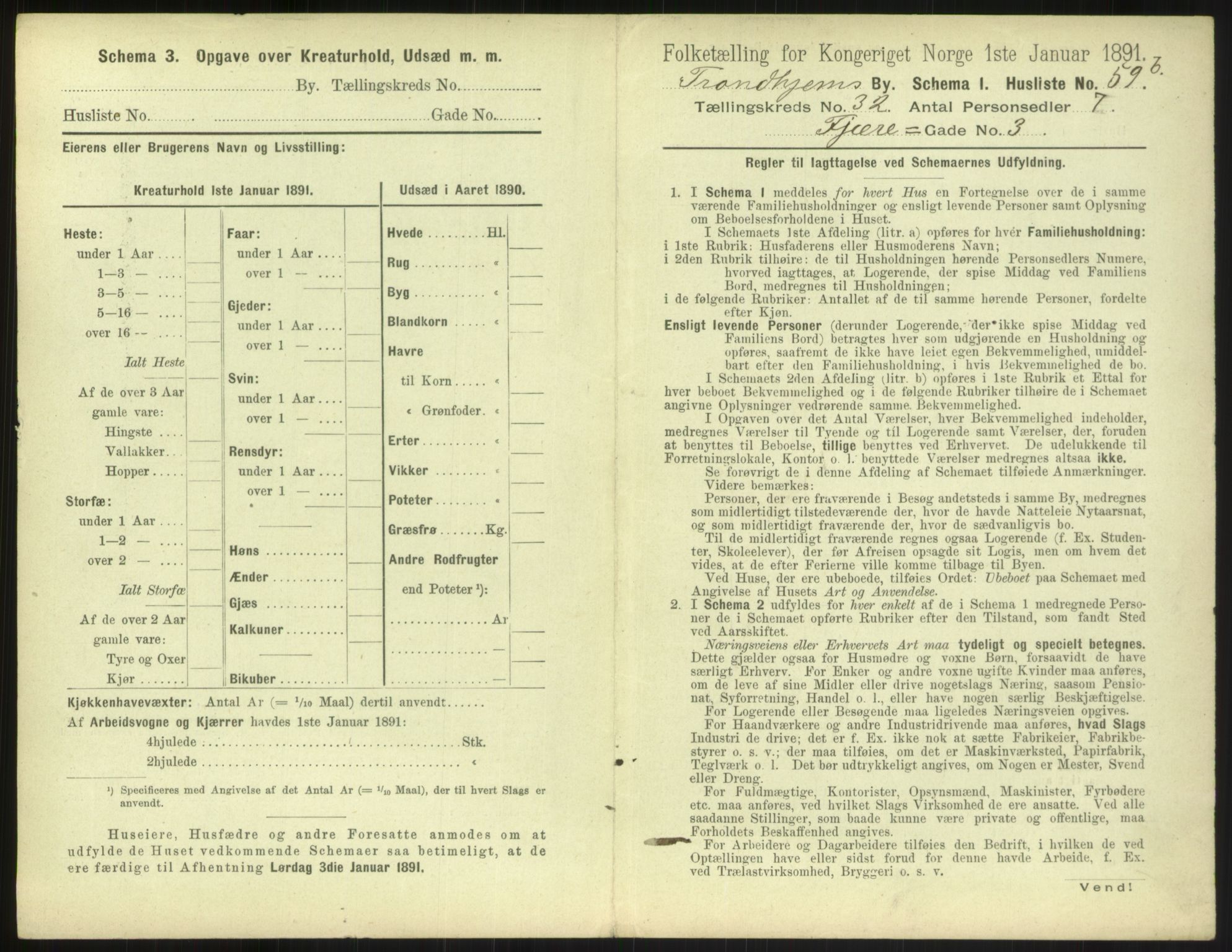 RA, 1891 census for 1601 Trondheim, 1891, p. 2558