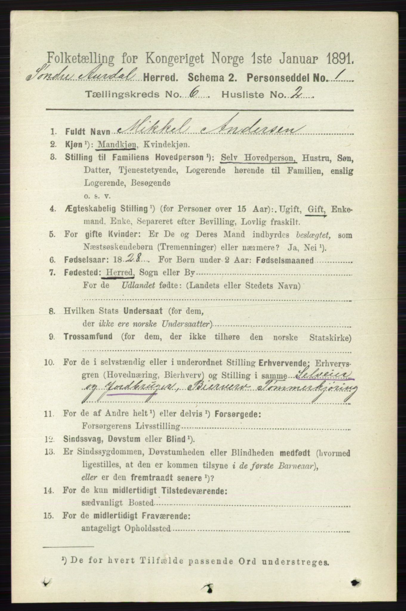 RA, 1891 census for 0540 Sør-Aurdal, 1891, p. 3813