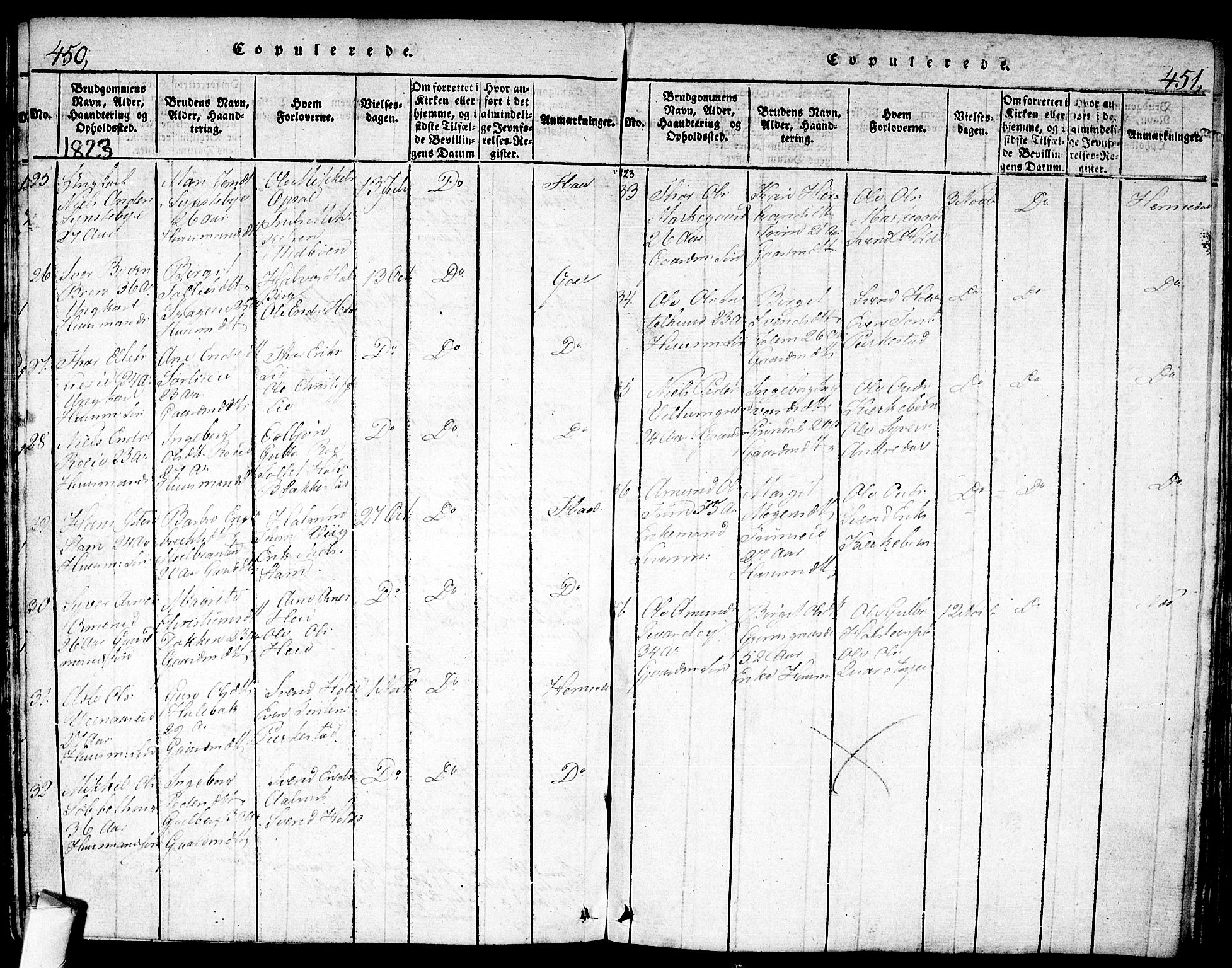 Nes kirkebøker, AV/SAKO-A-236/F/Fa/L0007: Parish register (official) no. 7, 1815-1823, p. 450-451