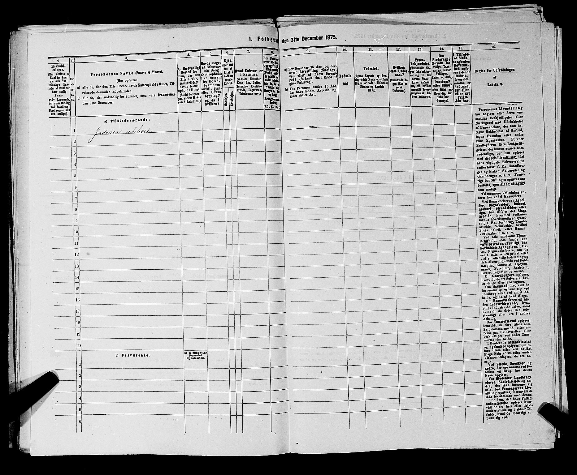 RA, 1875 census for 0113P Borge, 1875, p. 984