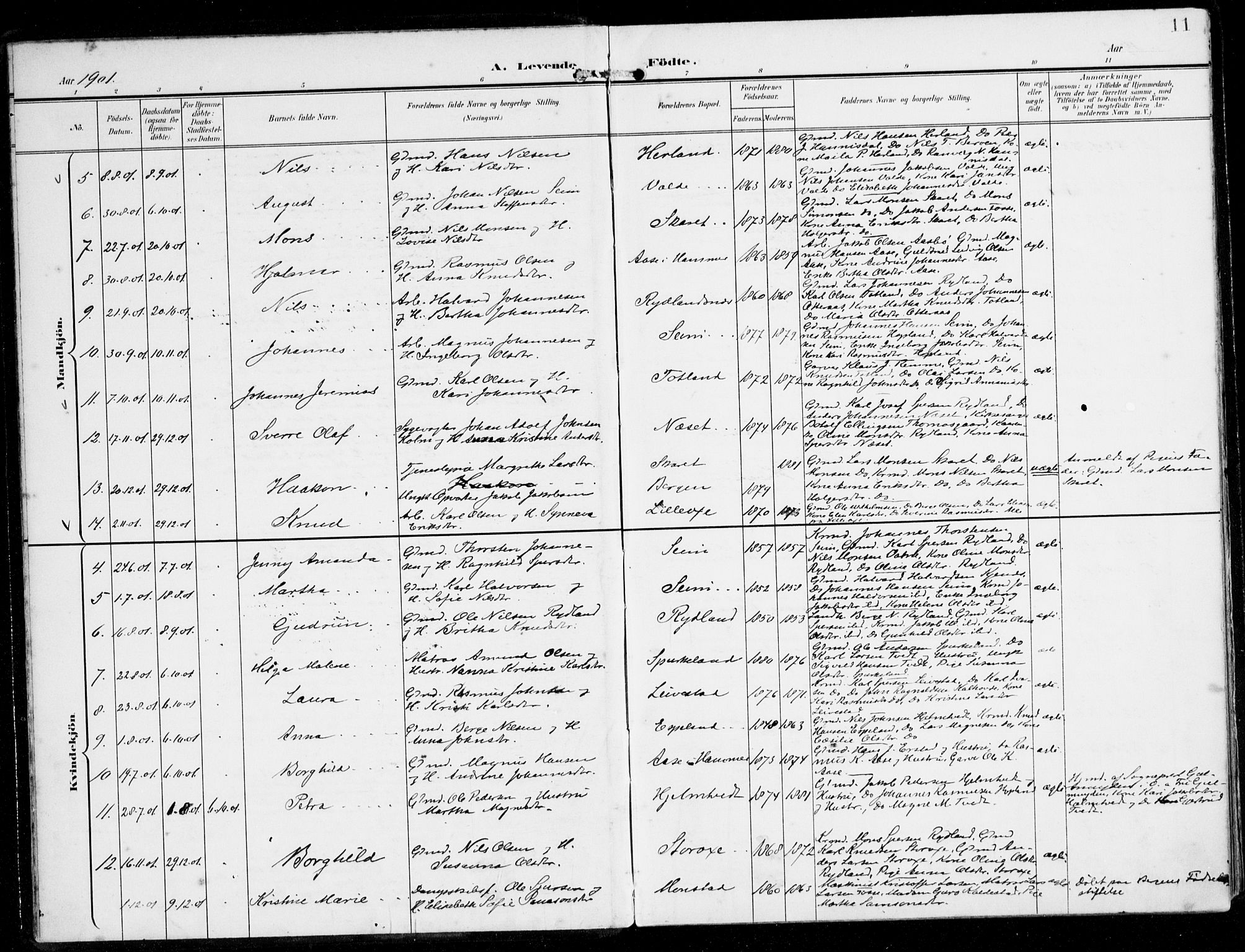 Alversund Sokneprestembete, SAB/A-73901/H/Ha/Haa/Haad/L0004: Parish register (official) no. D 4, 1898-1926, p. 11