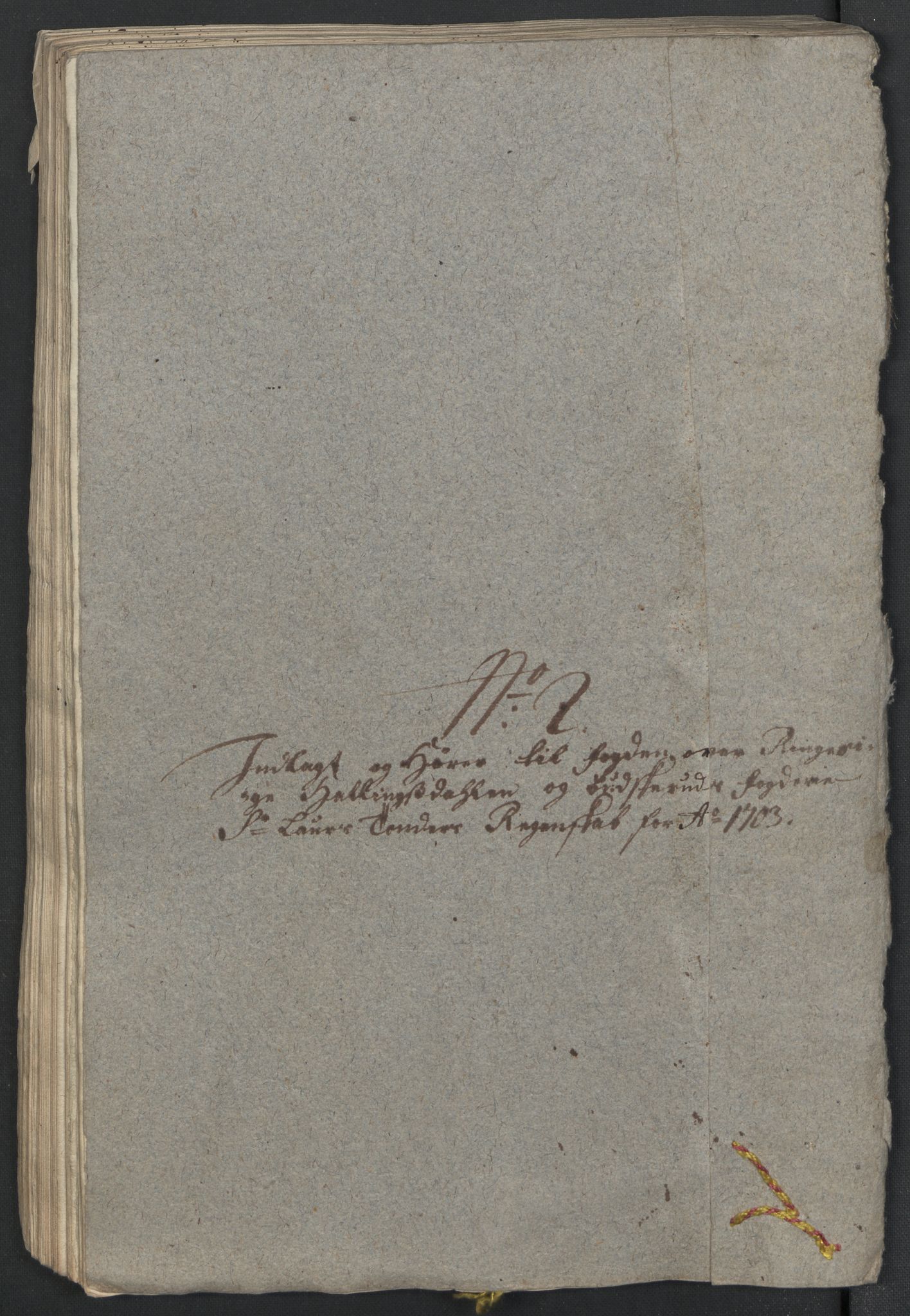 Rentekammeret inntil 1814, Reviderte regnskaper, Fogderegnskap, RA/EA-4092/R22/L1461: Fogderegnskap Ringerike, Hallingdal og Buskerud, 1703, p. 170
