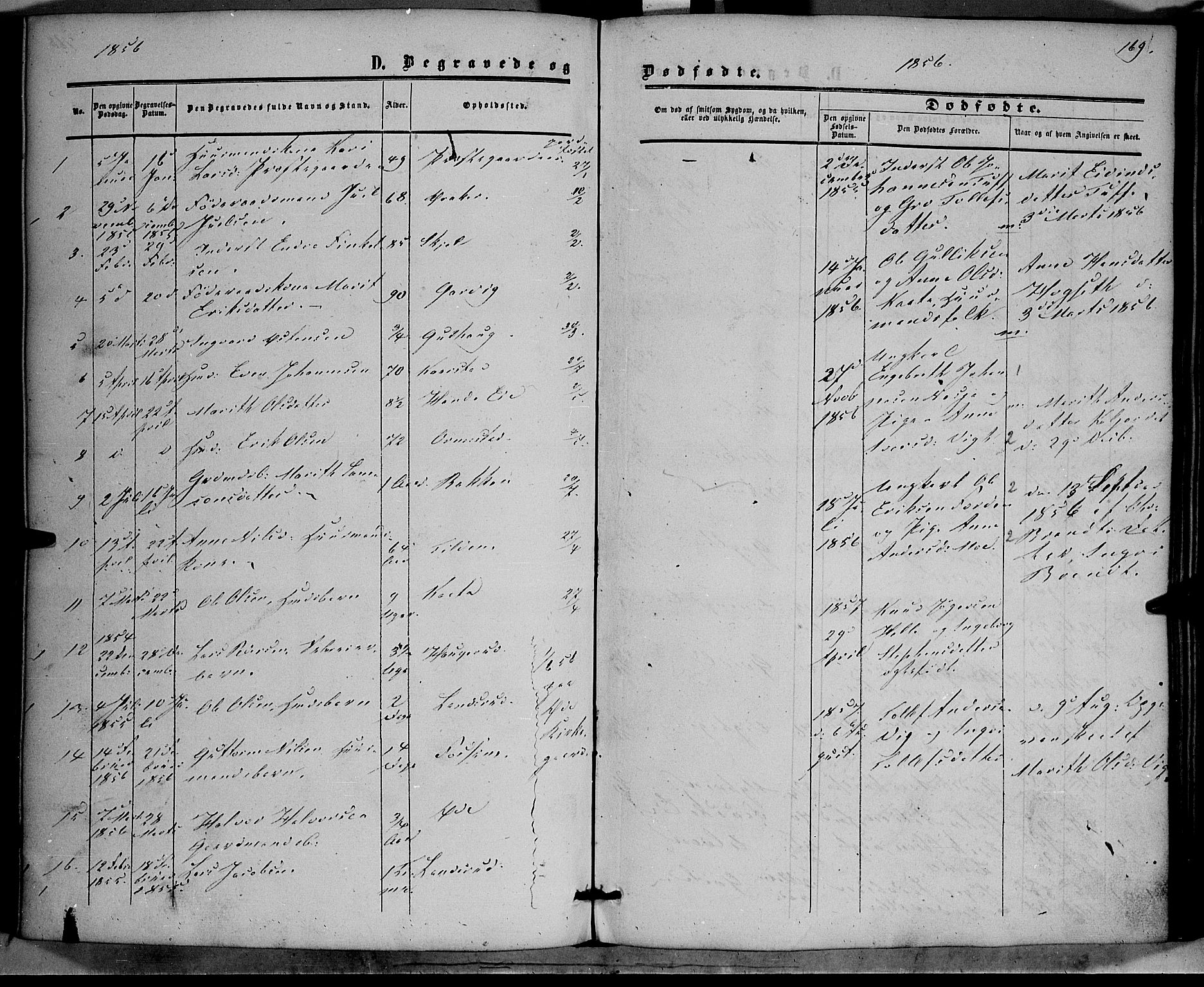 Vestre Slidre prestekontor, SAH/PREST-136/H/Ha/Haa/L0002: Parish register (official) no. 2, 1856-1864, p. 169
