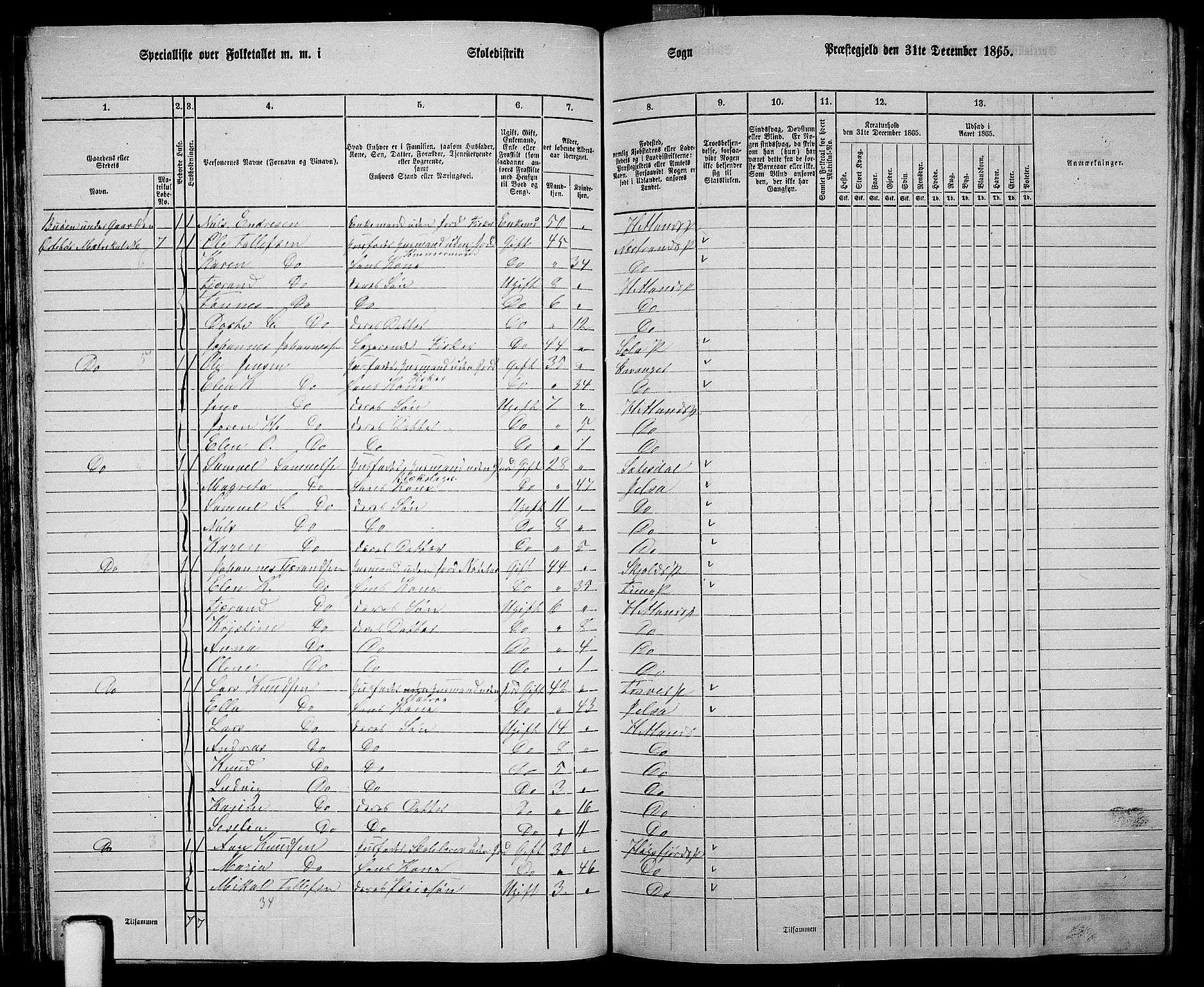 RA, 1865 census for Hetland, 1865, p. 54