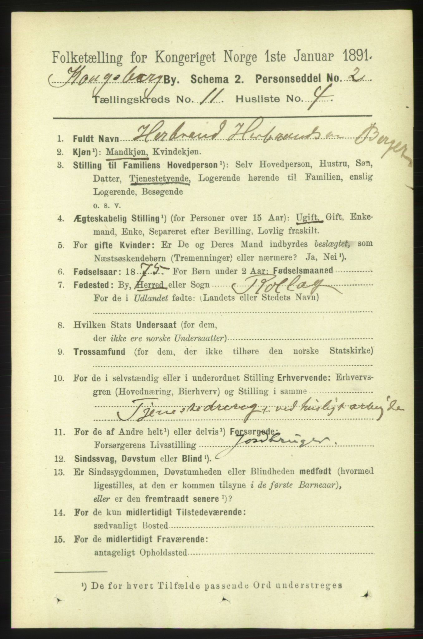 RA, 1891 census for 0604 Kongsberg, 1891, p. 6843