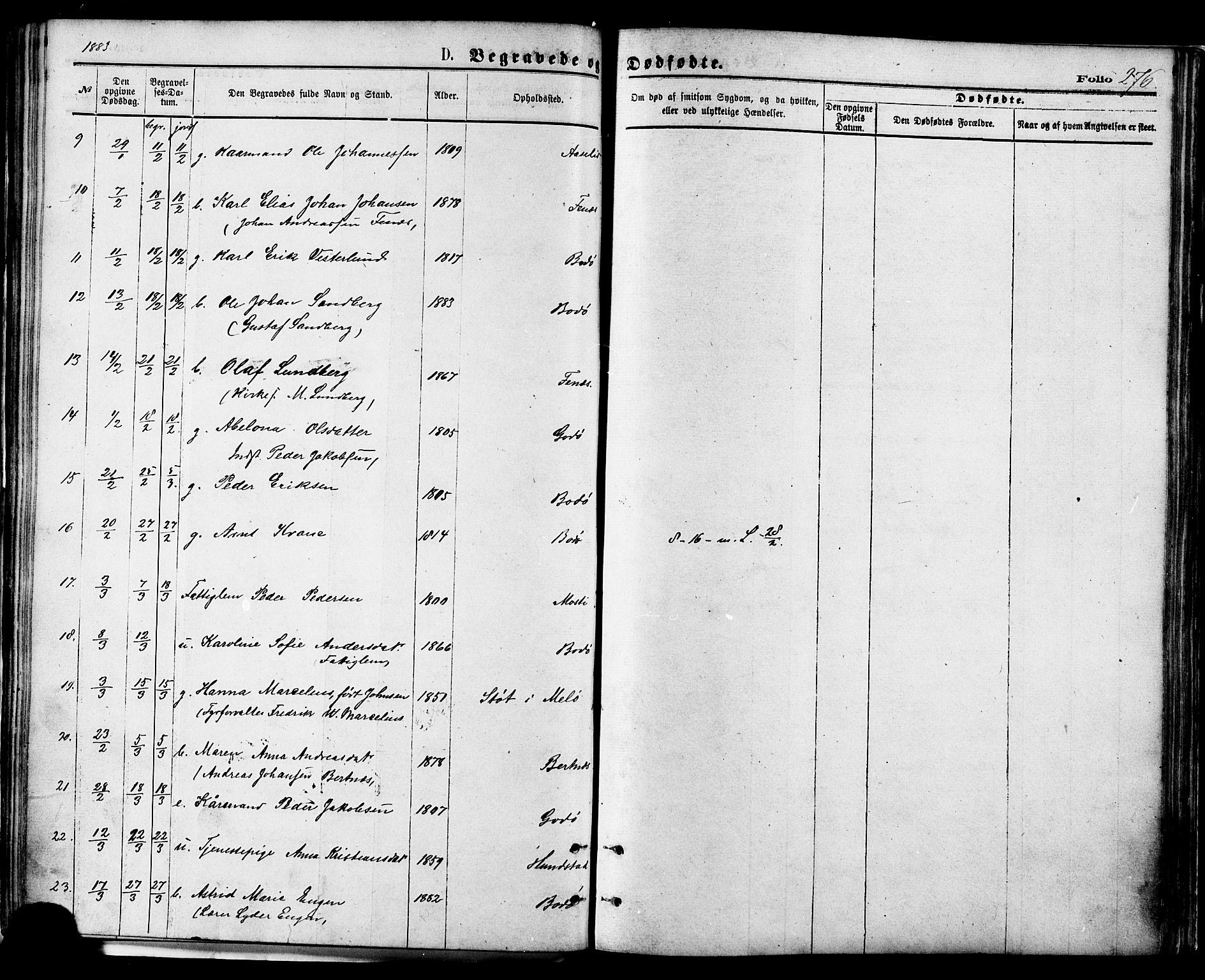 Ministerialprotokoller, klokkerbøker og fødselsregistre - Nordland, AV/SAT-A-1459/801/L0009: Parish register (official) no. 801A09, 1876-1883, p. 276