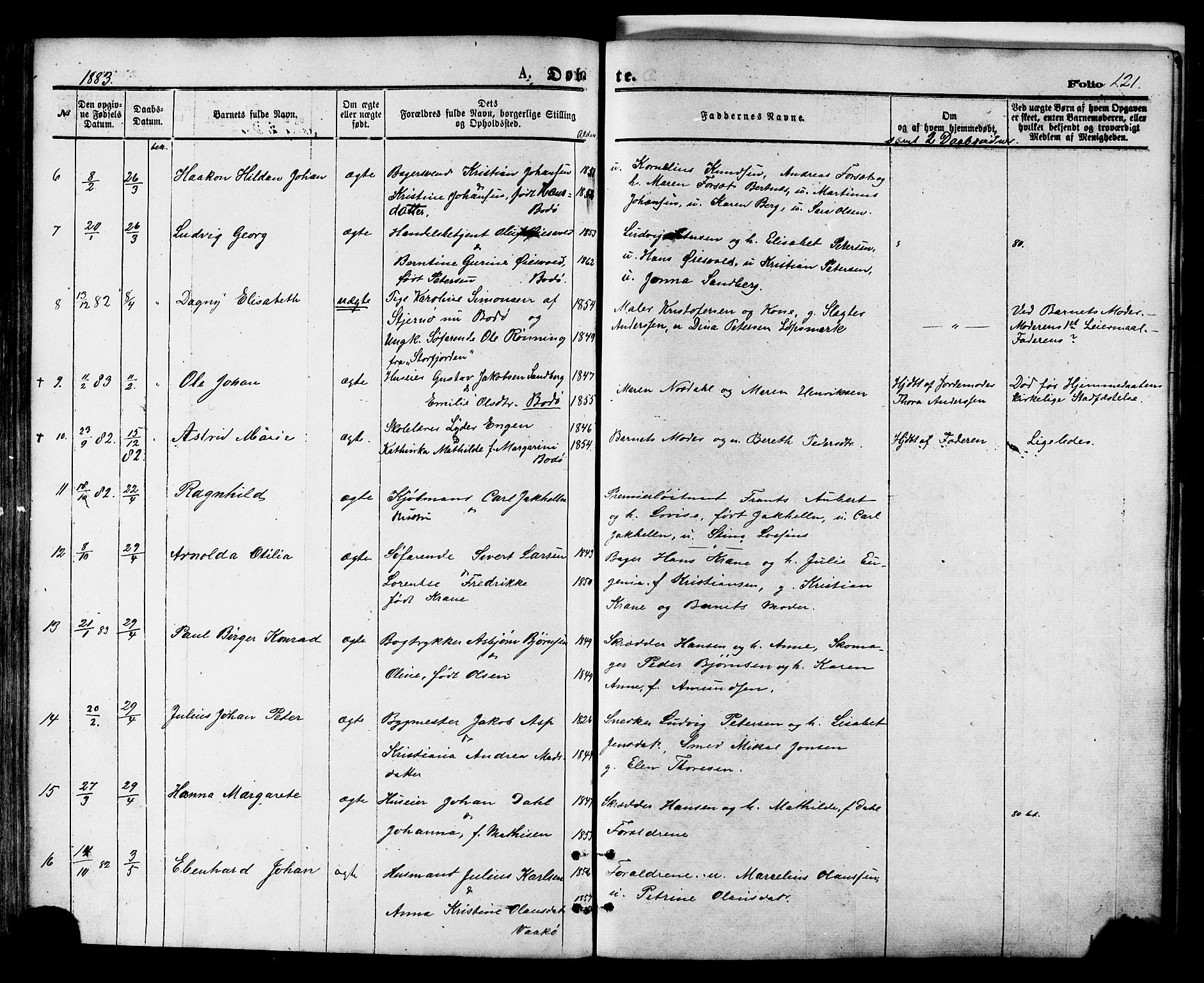 Ministerialprotokoller, klokkerbøker og fødselsregistre - Nordland, AV/SAT-A-1459/801/L0009: Parish register (official) no. 801A09, 1876-1883, p. 121