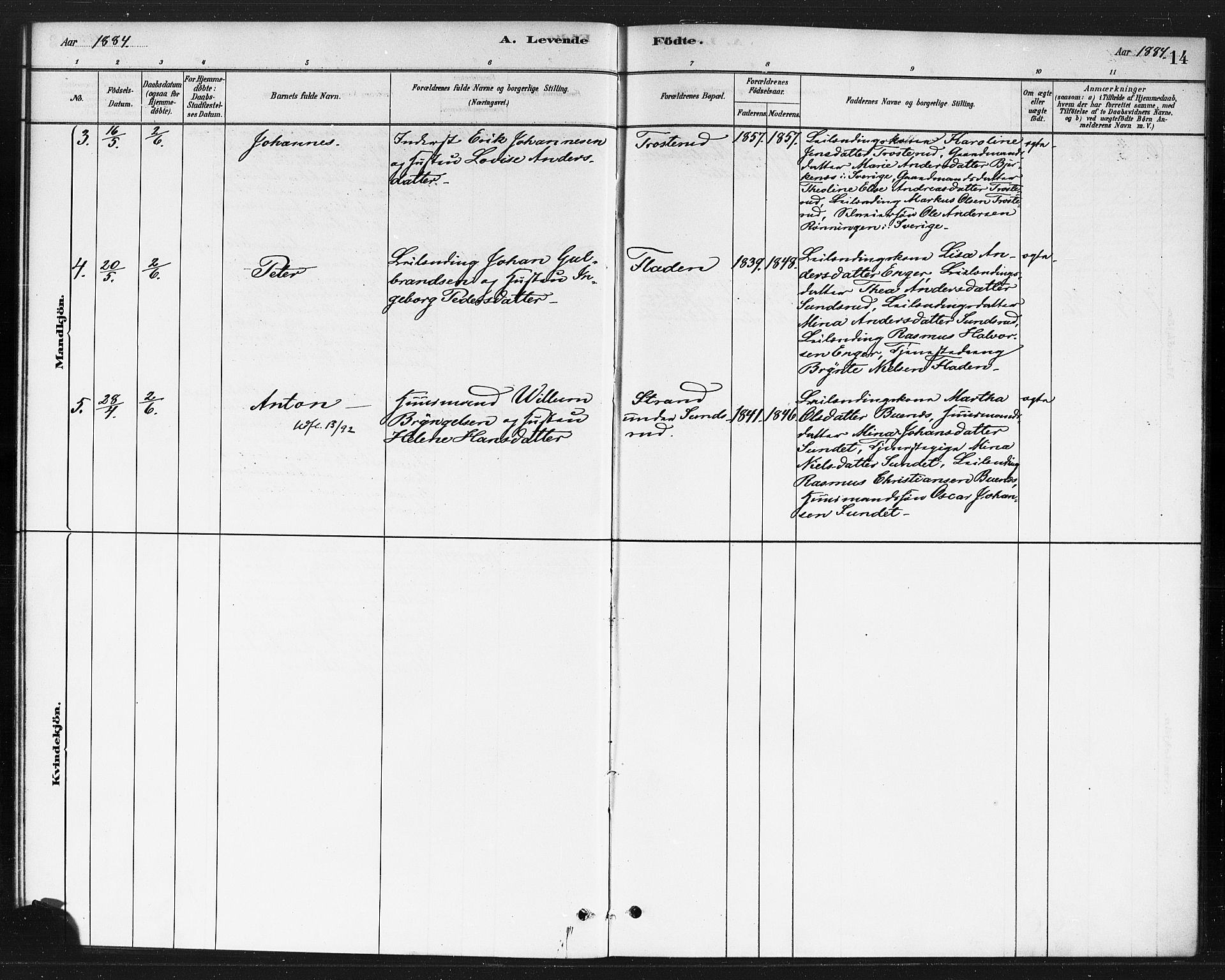 Rødenes prestekontor Kirkebøker, AV/SAO-A-2005/F/Fb/L0001: Parish register (official) no. II 1, 1880-1889, p. 14