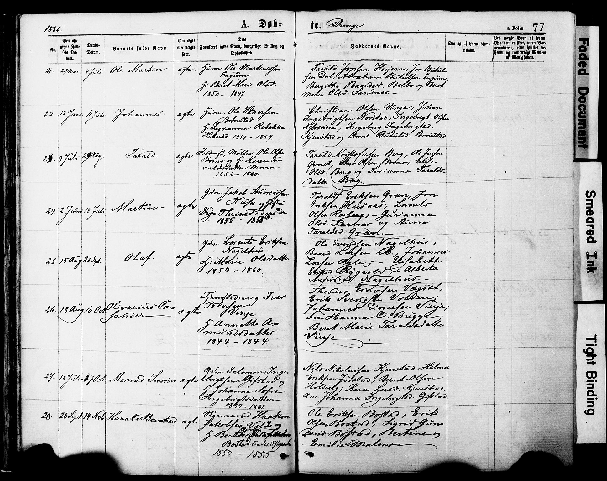 Ministerialprotokoller, klokkerbøker og fødselsregistre - Nord-Trøndelag, SAT/A-1458/749/L0473: Parish register (official) no. 749A07, 1873-1887, p. 77