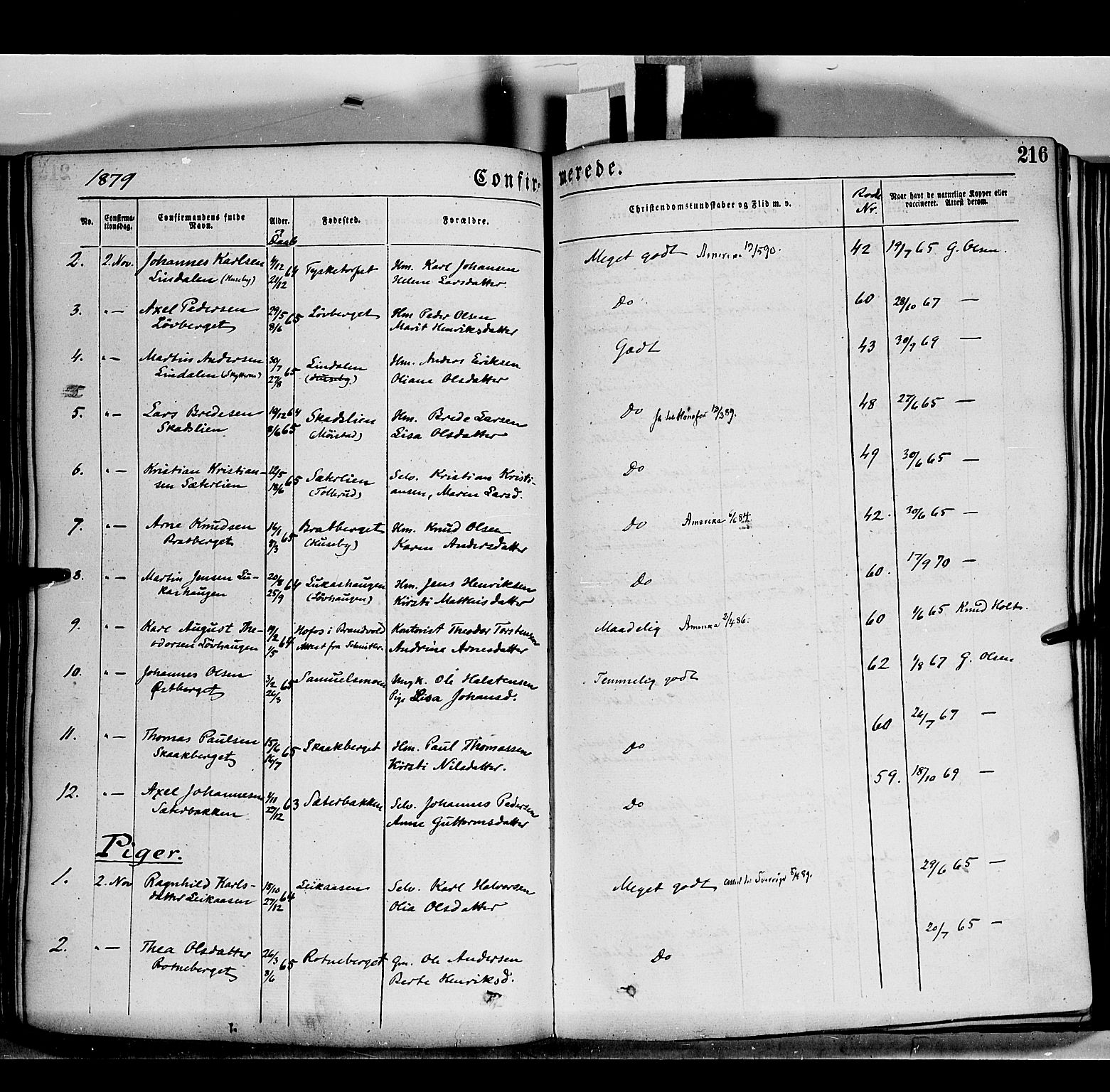 Grue prestekontor, AV/SAH-PREST-036/H/Ha/Haa/L0011: Parish register (official) no. 11, 1873-1880, p. 216