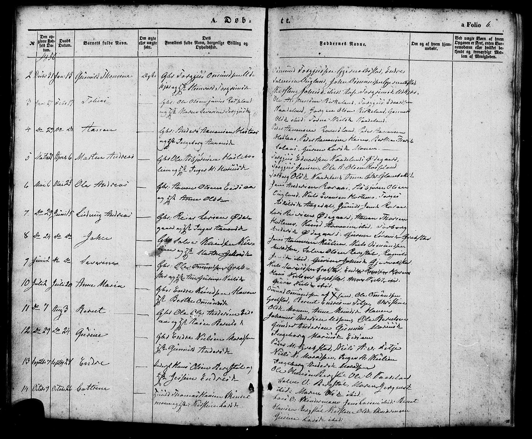 Søgne sokneprestkontor, SAK/1111-0037/F/Fa/Faa/L0002: Parish register (official) no. A 2, 1854-1882, p. 6