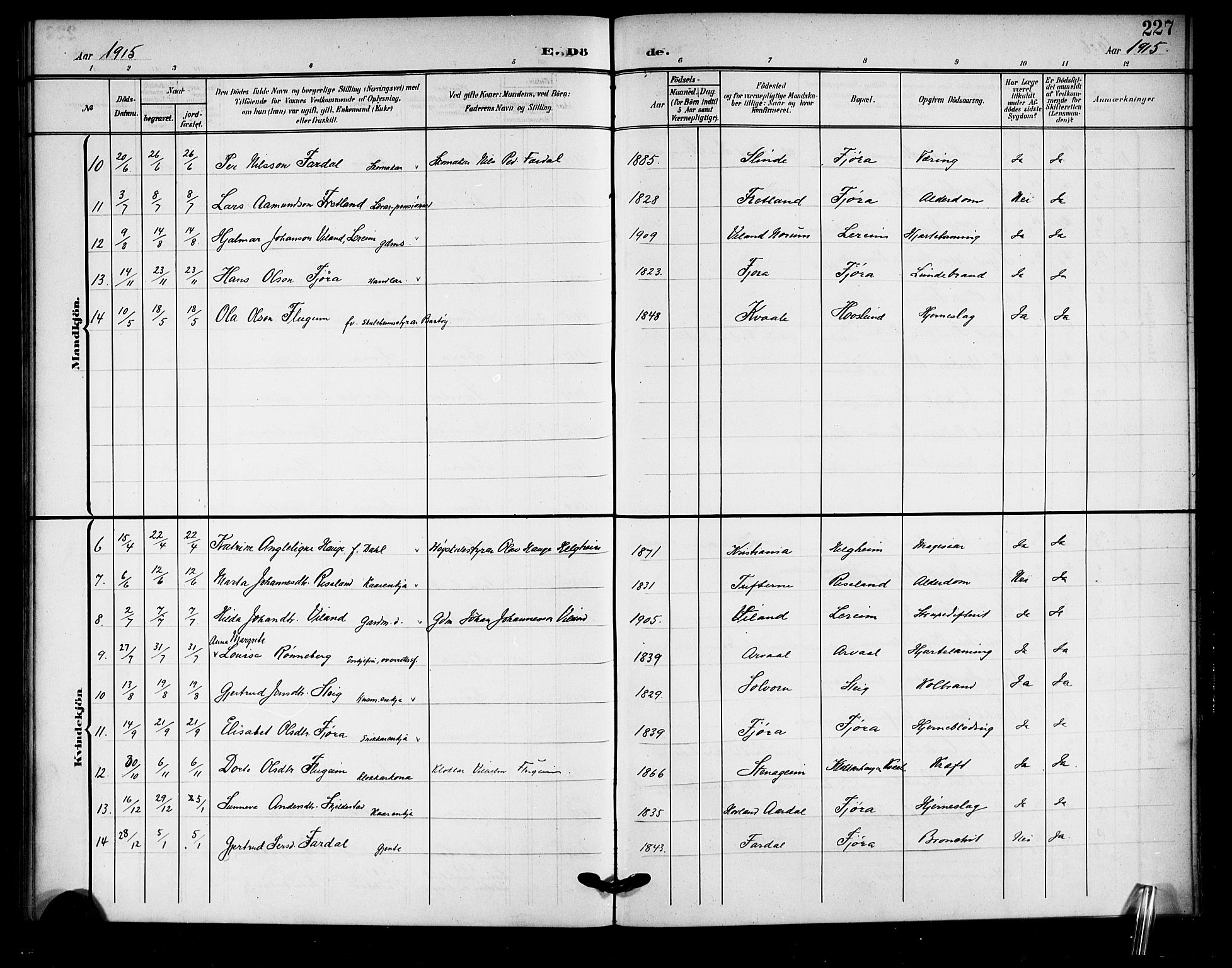 Sogndal sokneprestembete, AV/SAB-A-81301/H/Hab/Haba/L0002: Parish register (copy) no. A 2, 1908-1924, p. 227