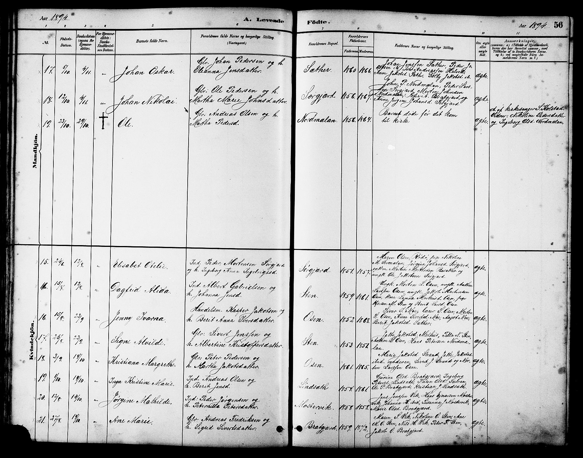 Ministerialprotokoller, klokkerbøker og fødselsregistre - Sør-Trøndelag, AV/SAT-A-1456/658/L0726: Parish register (copy) no. 658C02, 1883-1908, p. 56