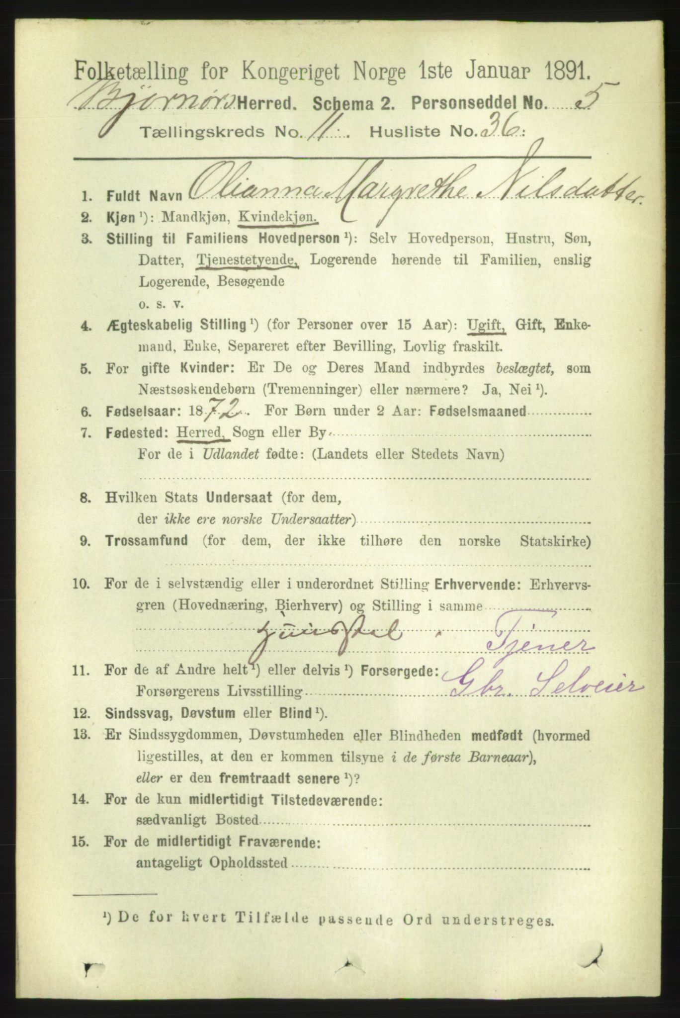 RA, 1891 census for 1632 Bjørnør, 1891, p. 4913