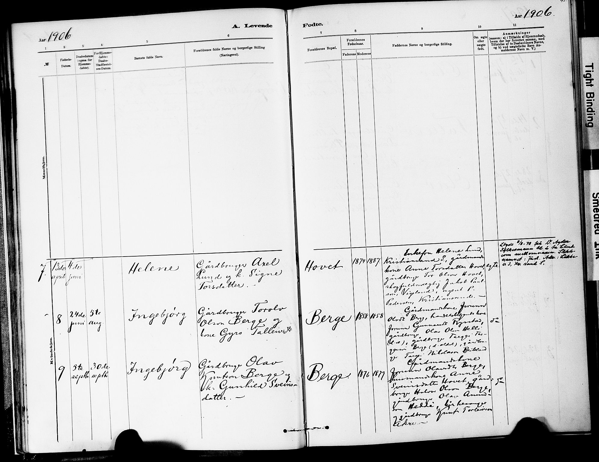 Valle sokneprestkontor, SAK/1111-0044/F/Fa/Fab/L0001: Parish register (official) no. A 1, 1882-1910, p. 45