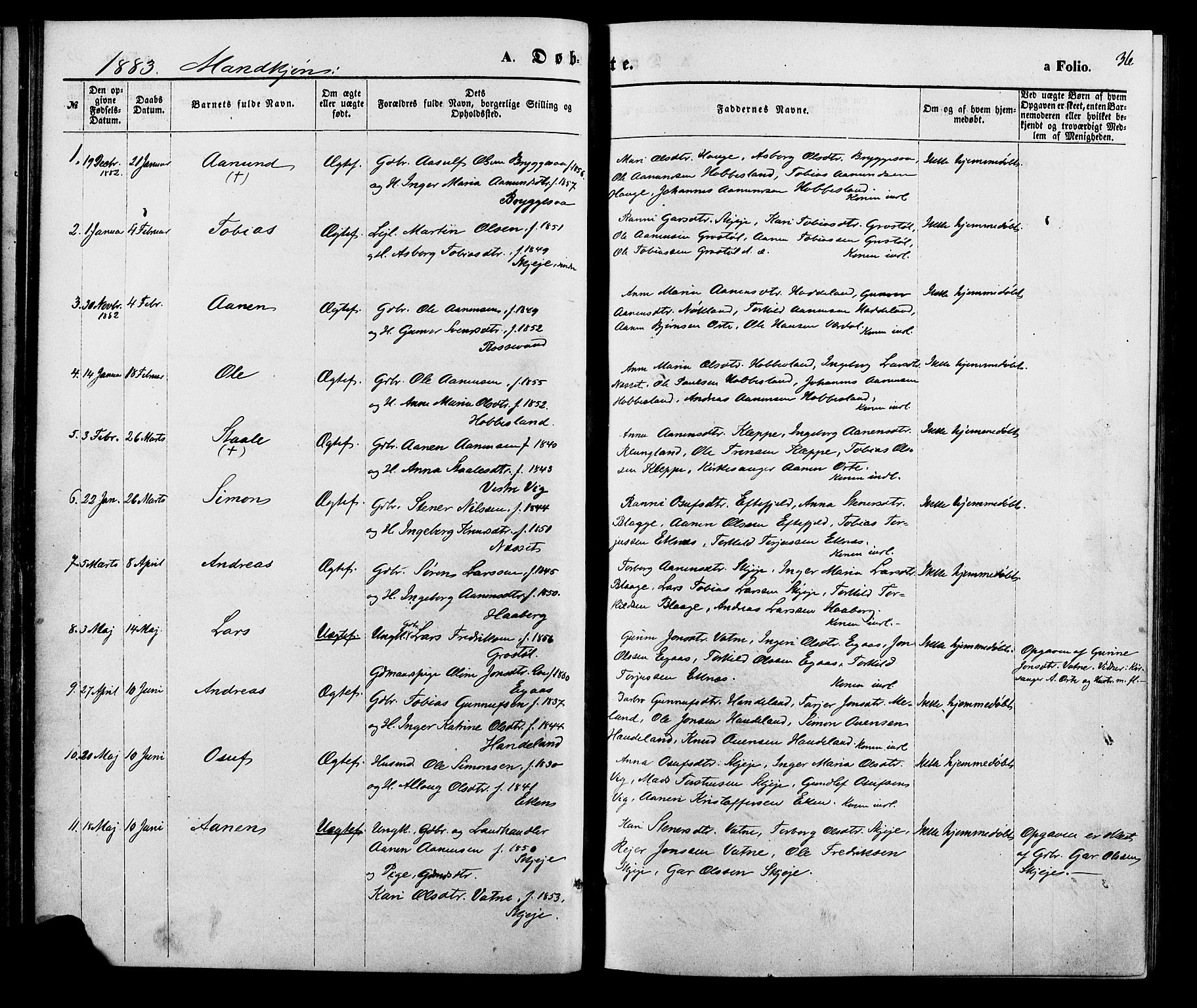 Hægebostad sokneprestkontor, SAK/1111-0024/F/Fa/Fab/L0003: Parish register (official) no. A 3, 1872-1886, p. 36