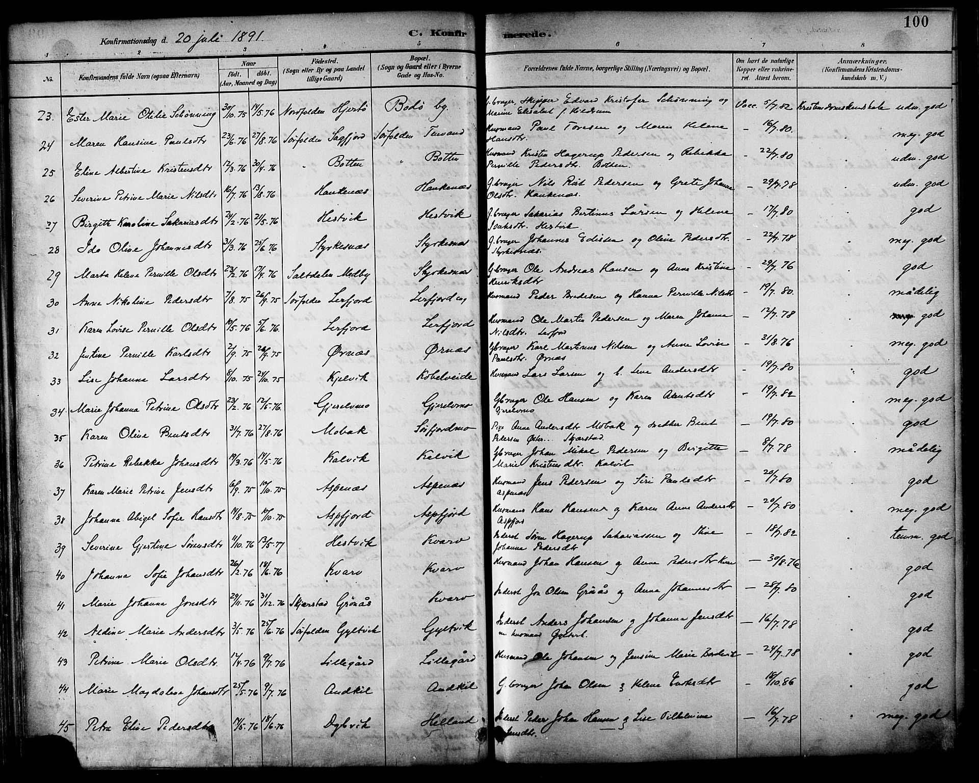 Ministerialprotokoller, klokkerbøker og fødselsregistre - Nordland, AV/SAT-A-1459/854/L0777: Parish register (official) no. 854A01 /1, 1883-1891, p. 100