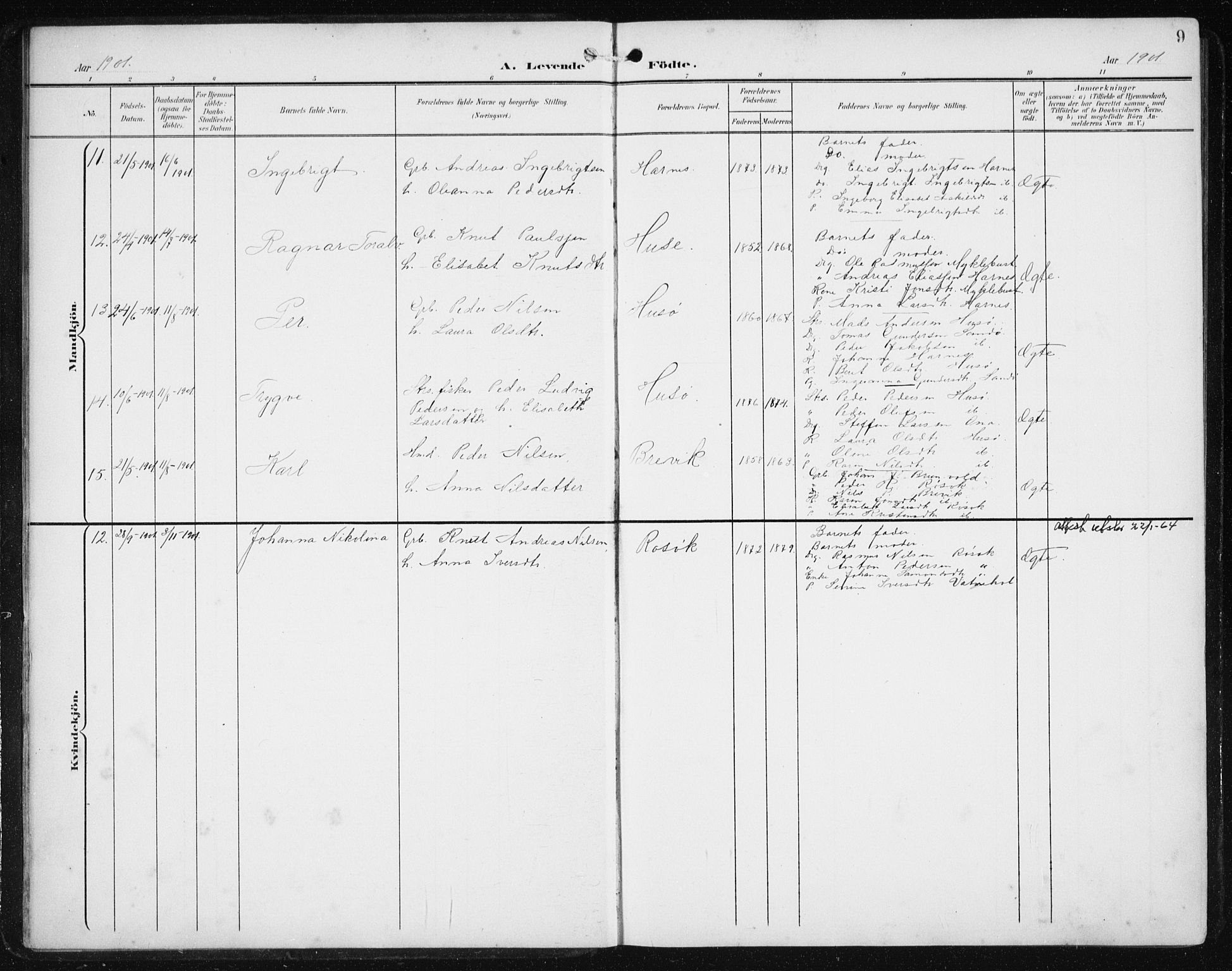 Ministerialprotokoller, klokkerbøker og fødselsregistre - Møre og Romsdal, AV/SAT-A-1454/561/L0733: Parish register (copy) no. 561C03, 1900-1940, p. 9