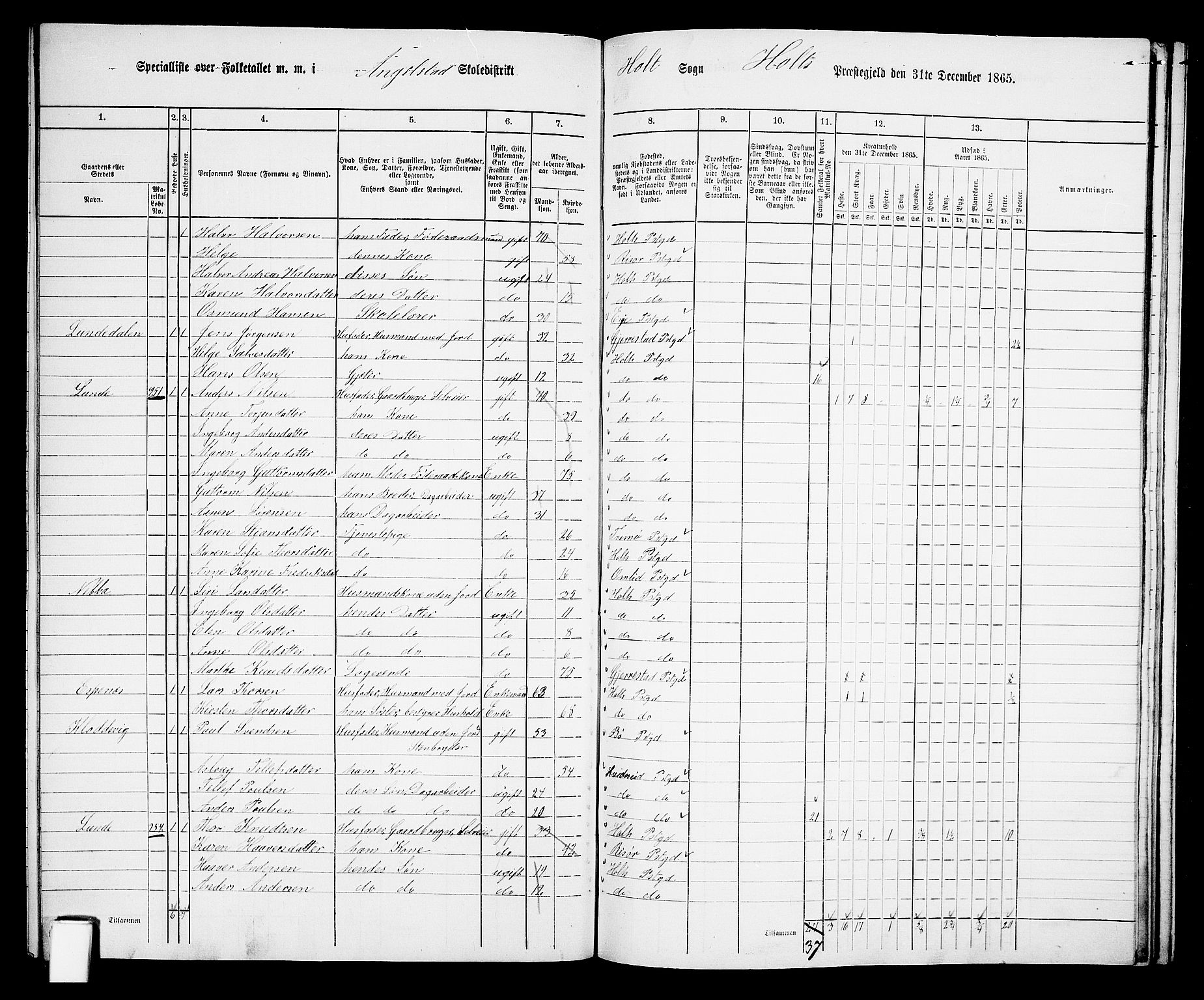 RA, 1865 census for Holt/Holt, 1865, p. 161