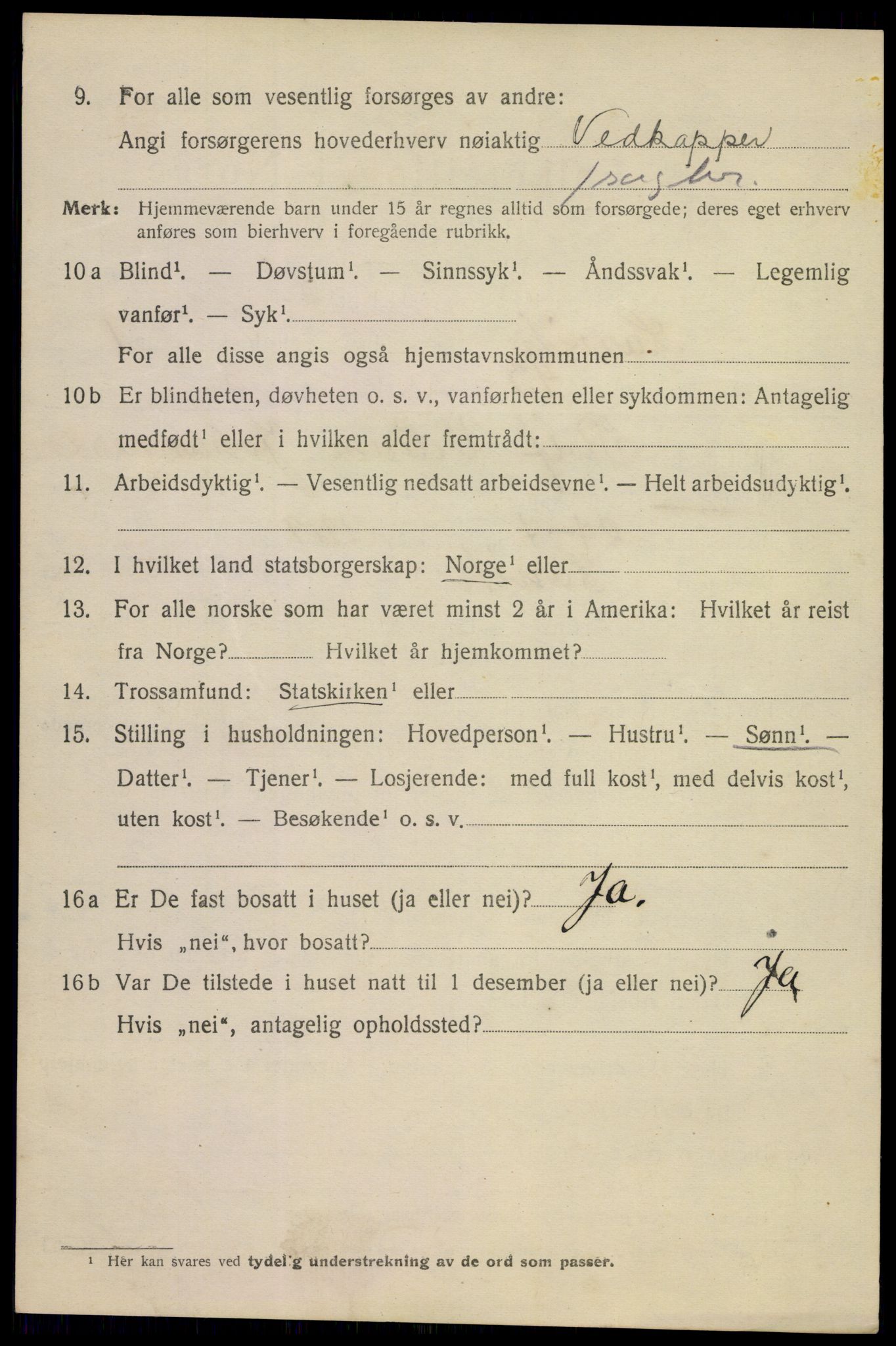 SAKO, 1920 census for Larvik, 1920, p. 9293