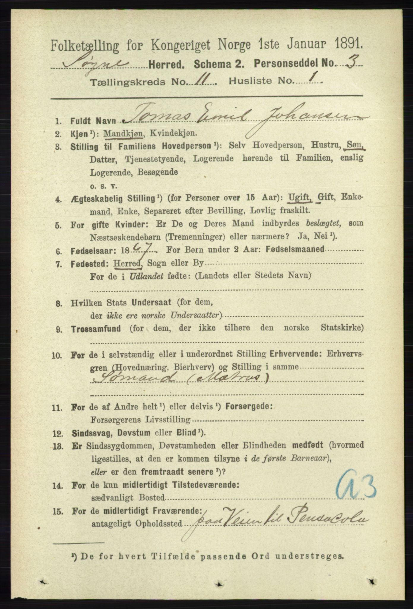 RA, 1891 census for 1018 Søgne, 1891, p. 2924