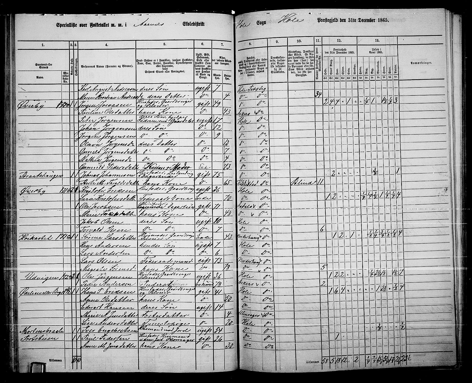 RA, 1865 census for Hole, 1865, p. 58