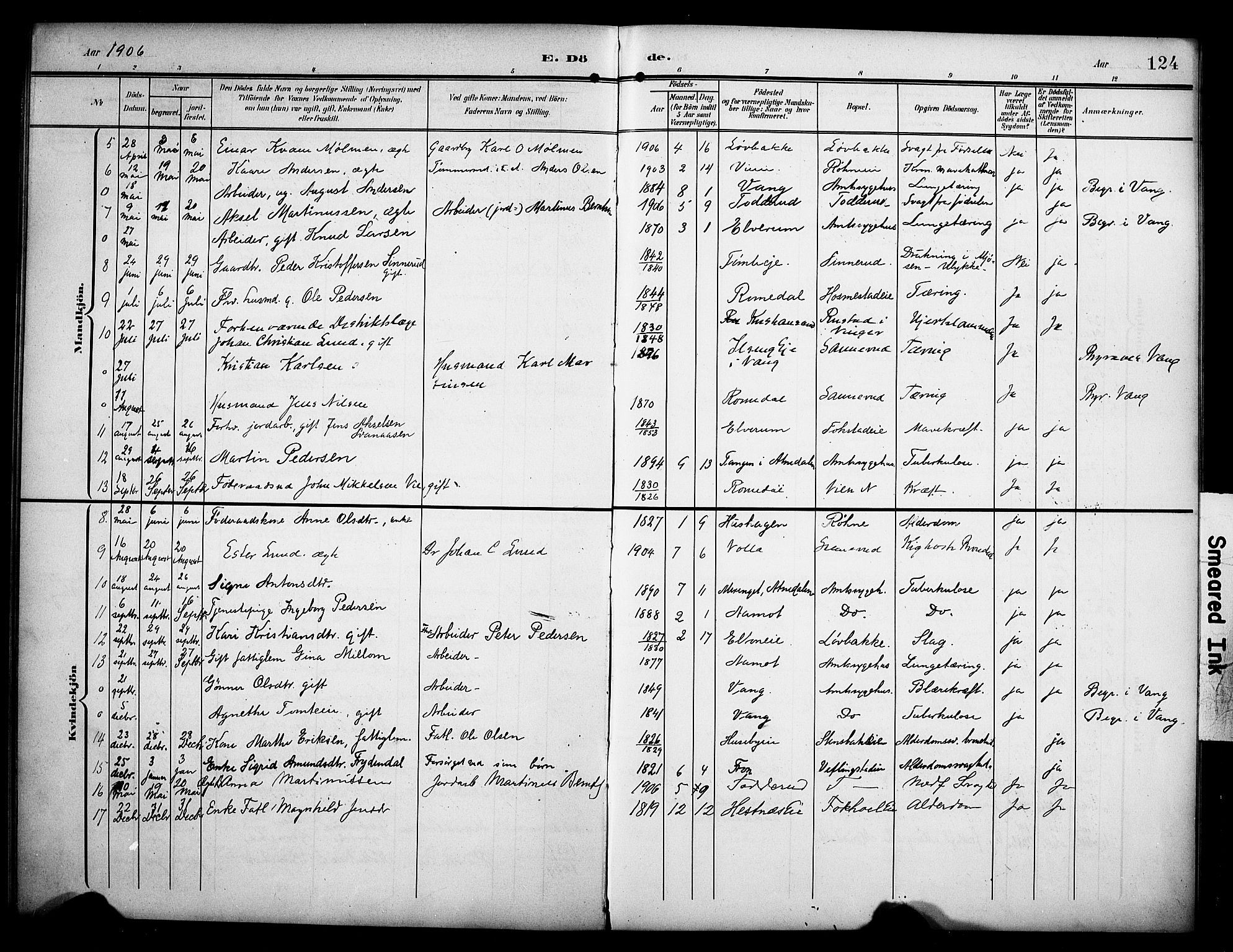 Stange prestekontor, AV/SAH-PREST-002/K/L0022: Parish register (official) no. 22, 1903-1914, p. 124