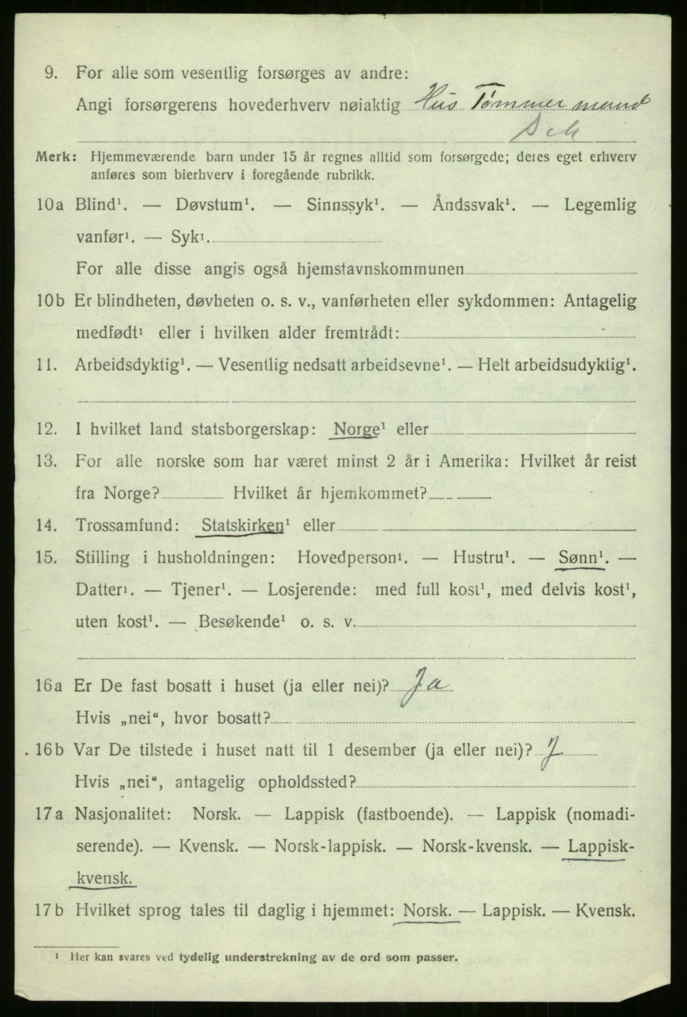 SATØ, 1920 census for Kvænangen, 1920, p. 3619