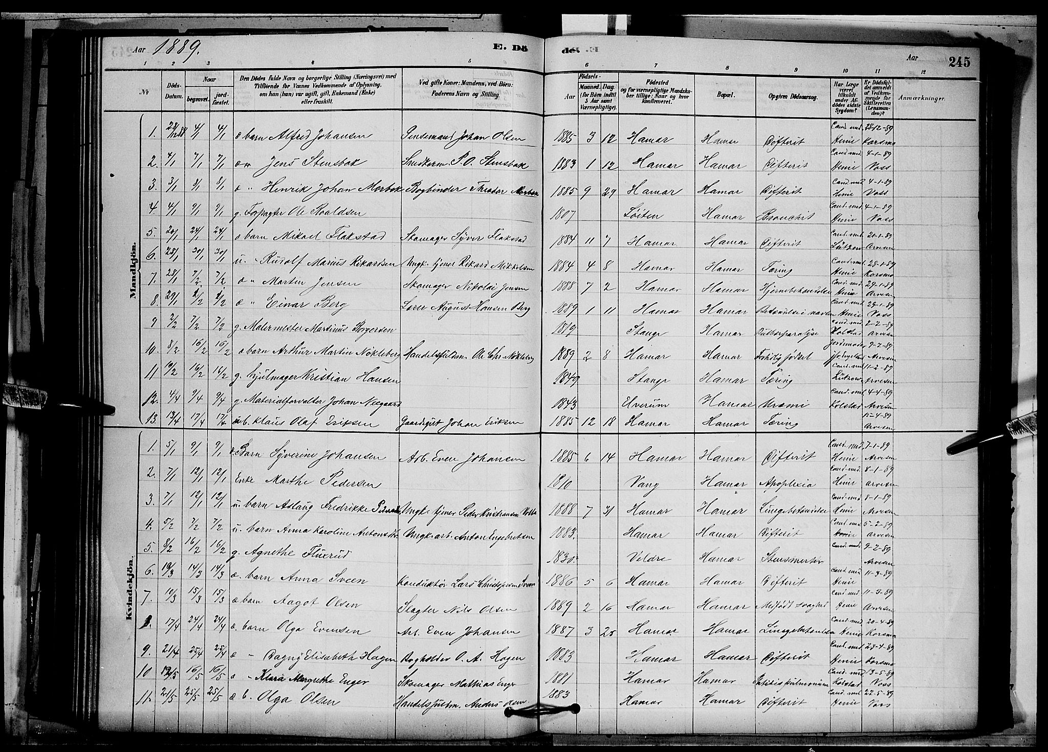Vang prestekontor, Hedmark, SAH/PREST-008/H/Ha/Hab/L0012: Parish register (copy) no. 12, 1878-1889, p. 245