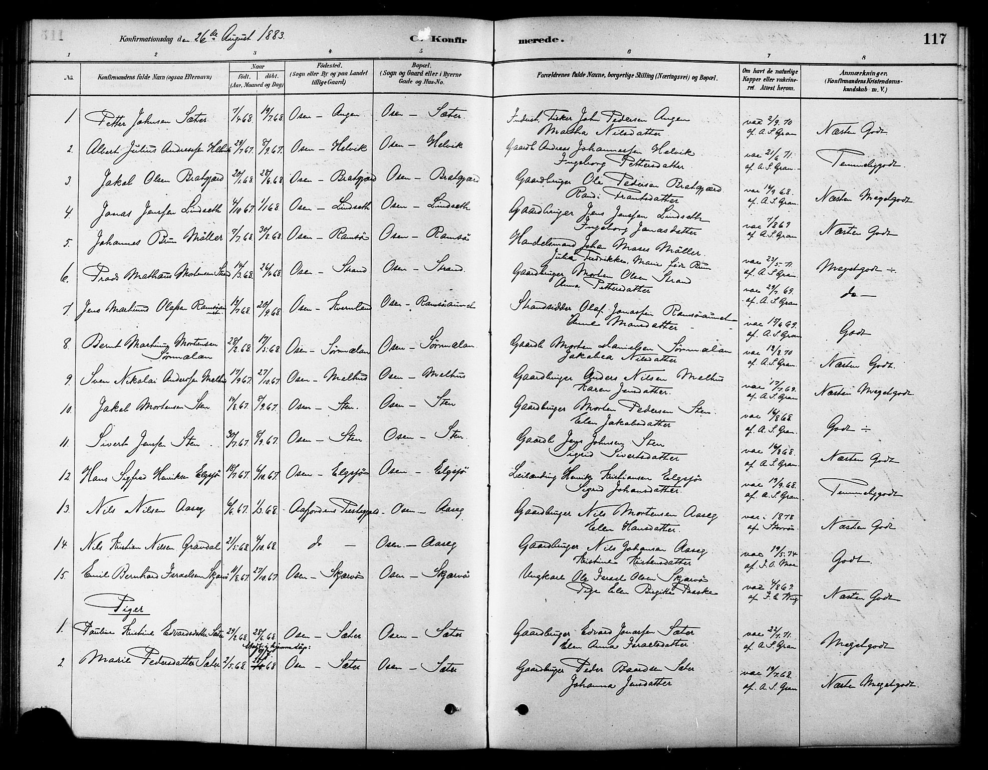 Ministerialprotokoller, klokkerbøker og fødselsregistre - Sør-Trøndelag, SAT/A-1456/658/L0722: Parish register (official) no. 658A01, 1879-1896, p. 117