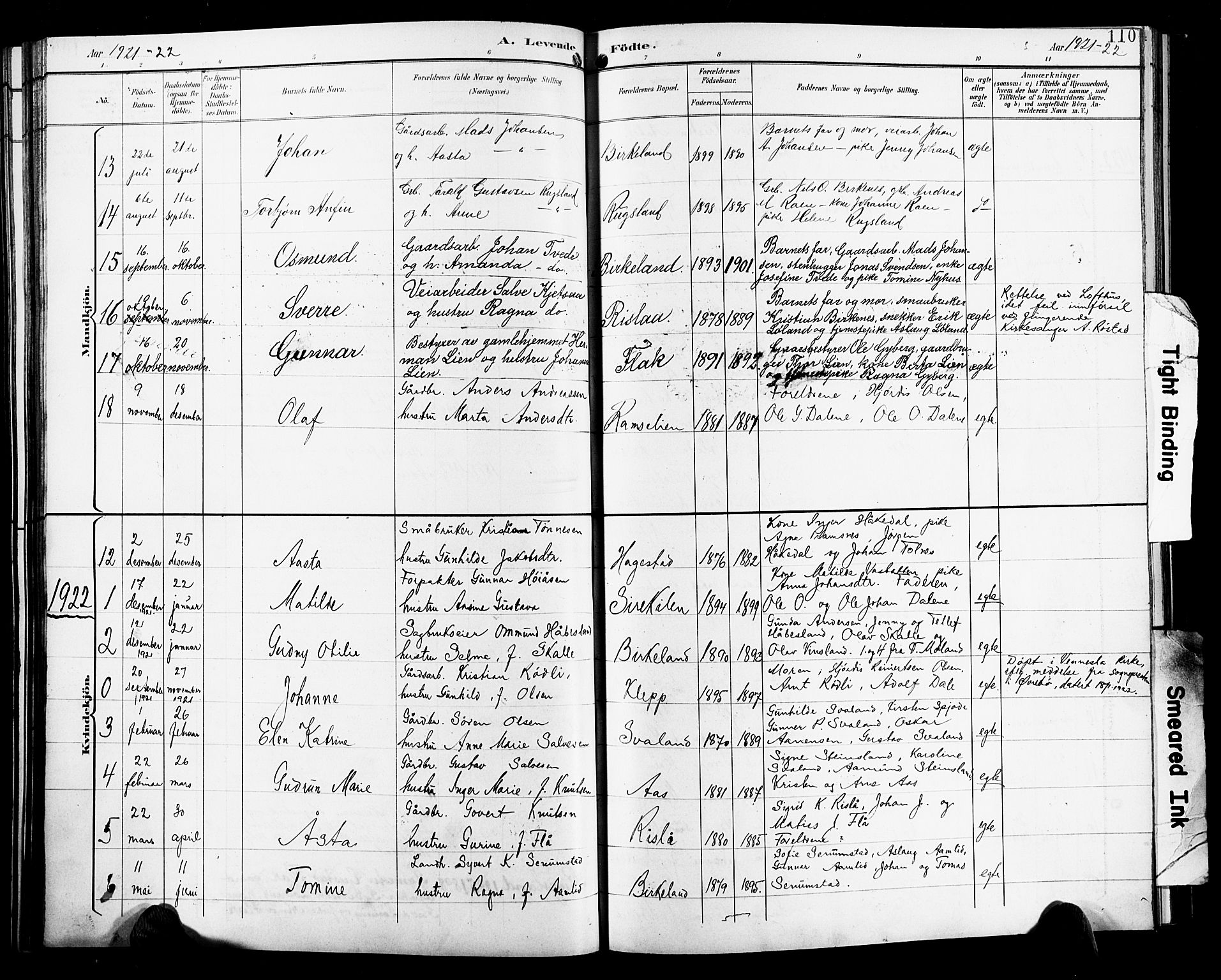 Birkenes sokneprestkontor, SAK/1111-0004/F/Fb/L0004: Parish register (copy) no. B 4, 1893-1930, p. 110