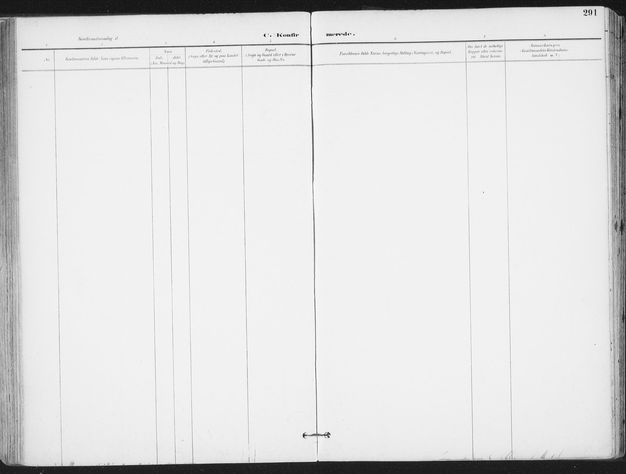 Ministerialprotokoller, klokkerbøker og fødselsregistre - Nordland, AV/SAT-A-1459/802/L0055: Parish register (official) no. 802A02, 1894-1915, p. 291