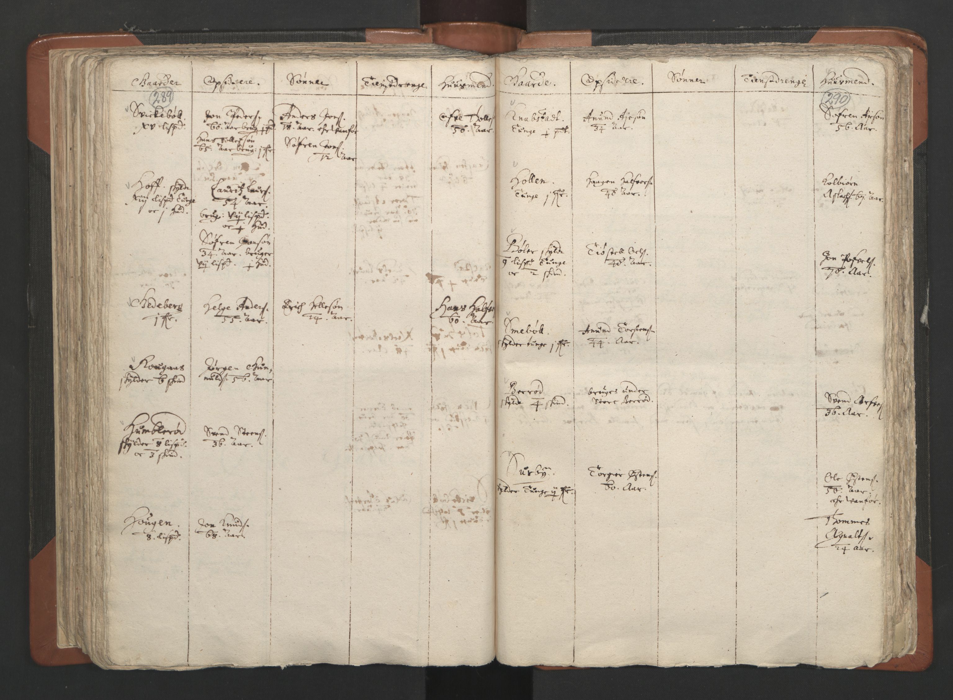 RA, Vicar's Census 1664-1666, no. 2: Øvre Borgesyssel deanery, 1664-1666, p. 289-290