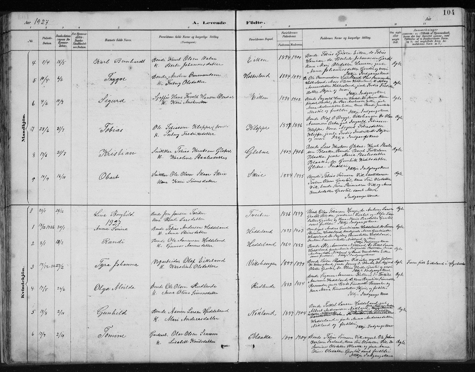 Hægebostad sokneprestkontor, AV/SAK-1111-0024/F/Fb/Fbb/L0003: Parish register (copy) no. B 3, 1887-1937, p. 104