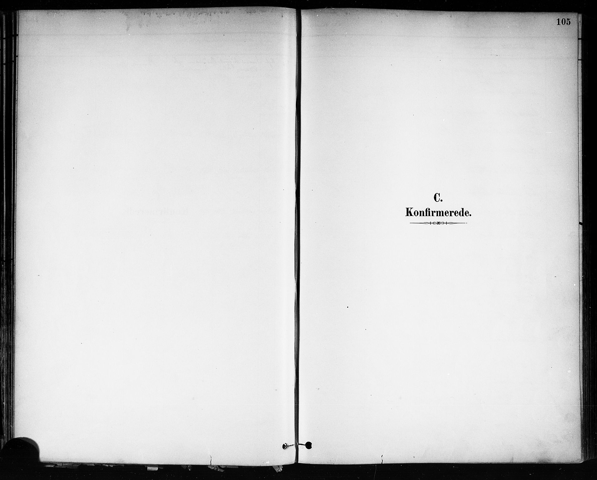 Brevik kirkebøker, SAKO/A-255/F/Fa/L0007: Parish register (official) no. 7, 1882-1900, p. 105