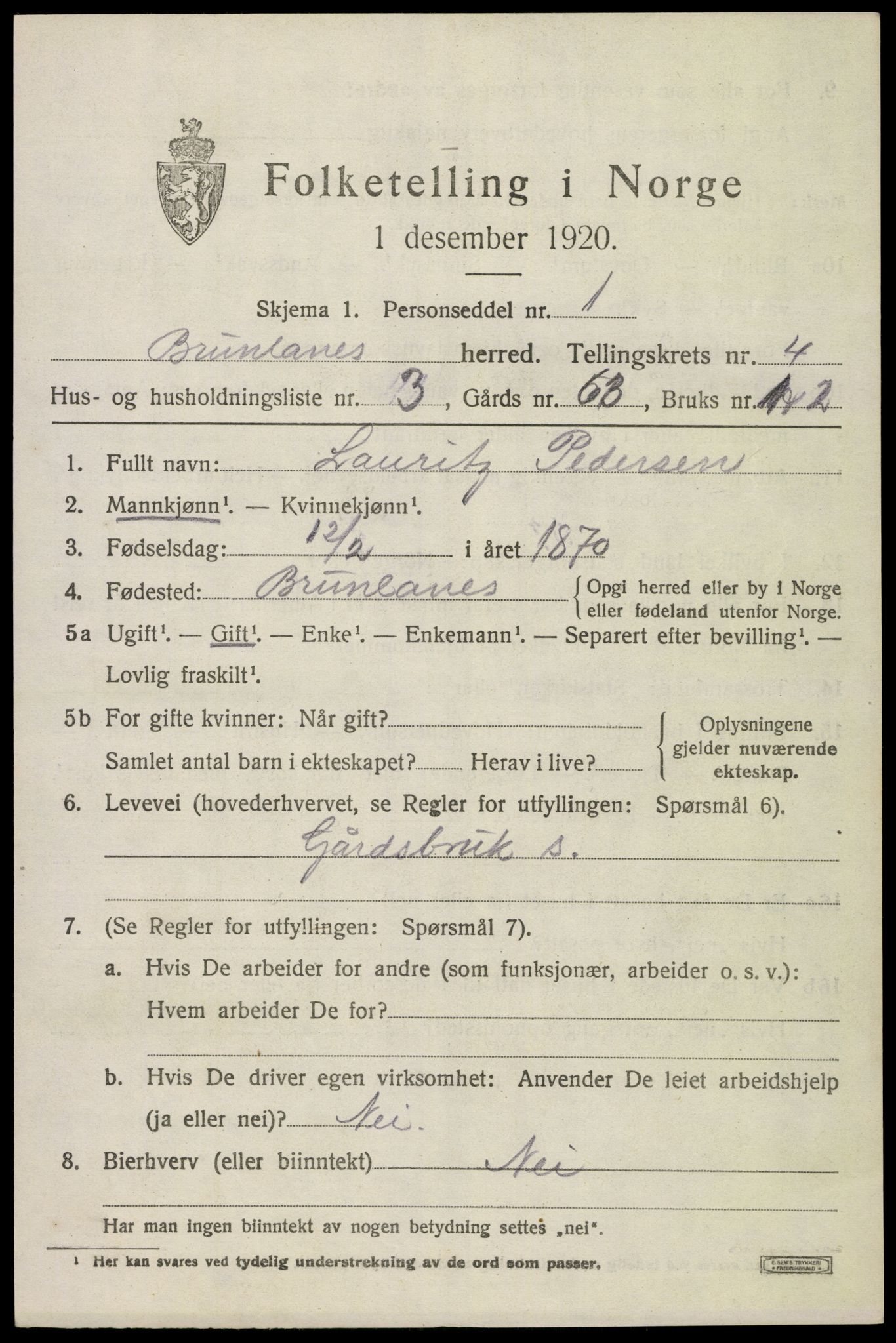 SAKO, 1920 census for Brunlanes, 1920, p. 6141