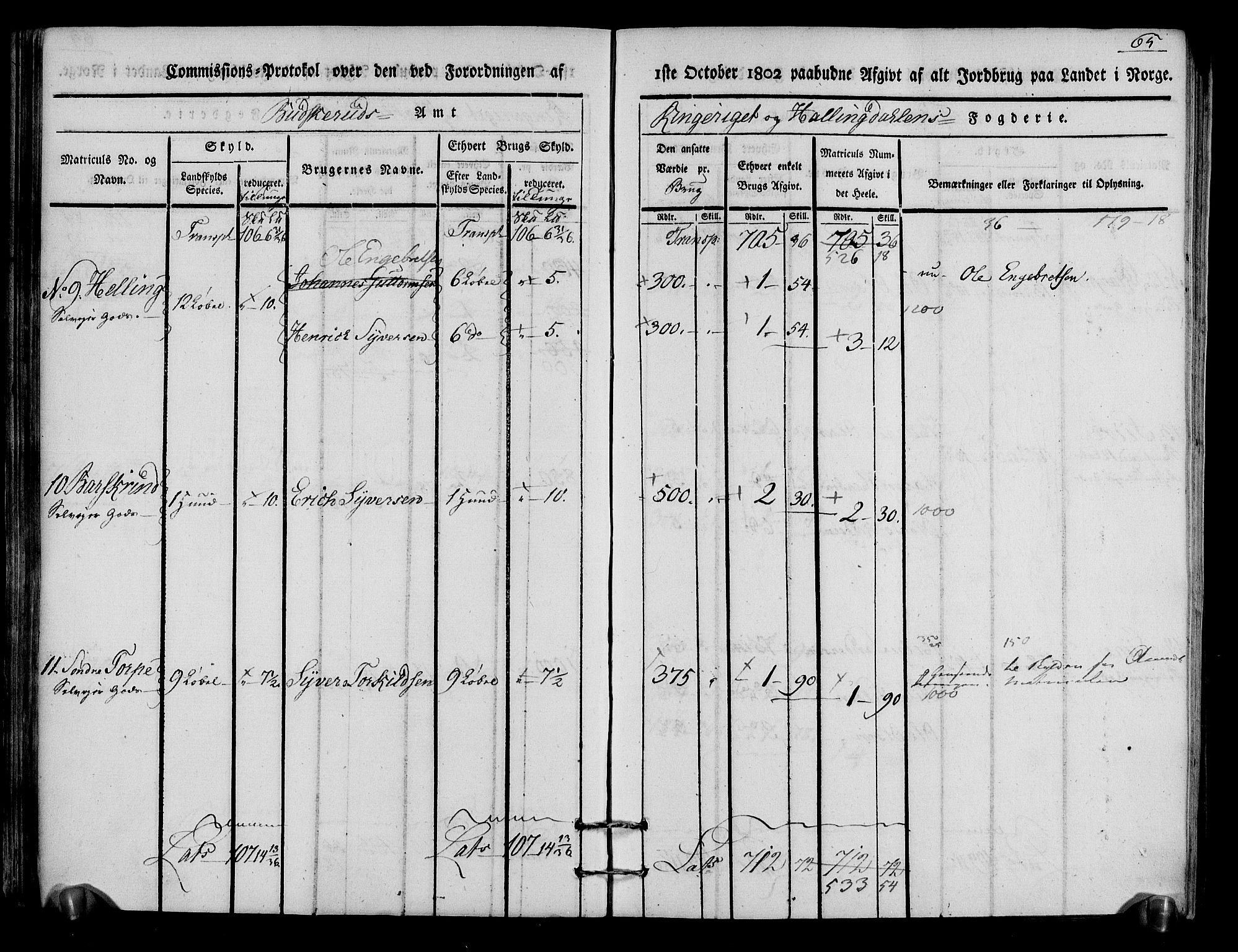 Rentekammeret inntil 1814, Realistisk ordnet avdeling, RA/EA-4070/N/Ne/Nea/L0048: Ringerike og Hallingdal fogderi. Kommisjonsprotokoll for Ål prestegjeld, 1803, p. 69