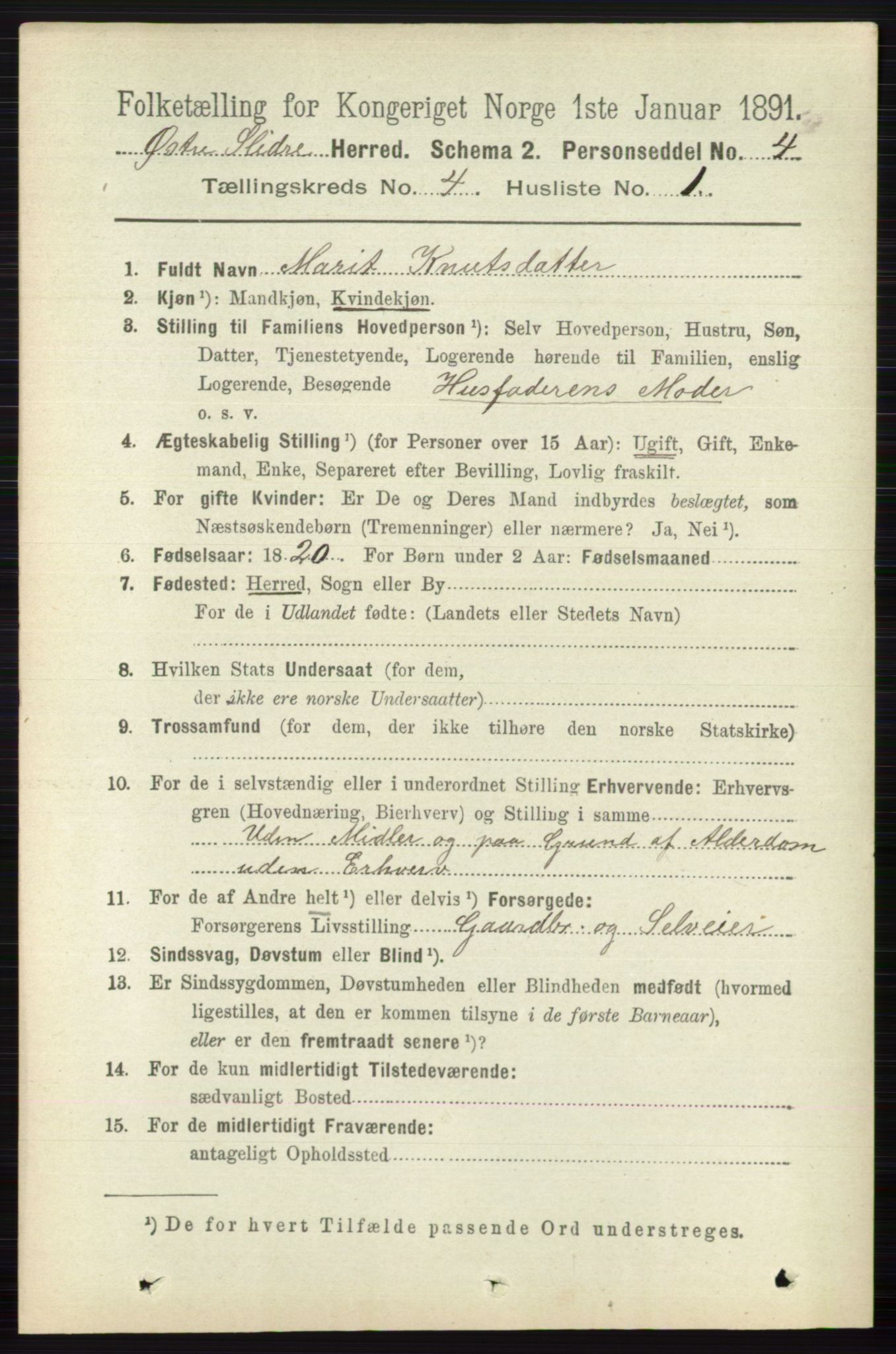 RA, 1891 census for 0544 Øystre Slidre, 1891, p. 1206