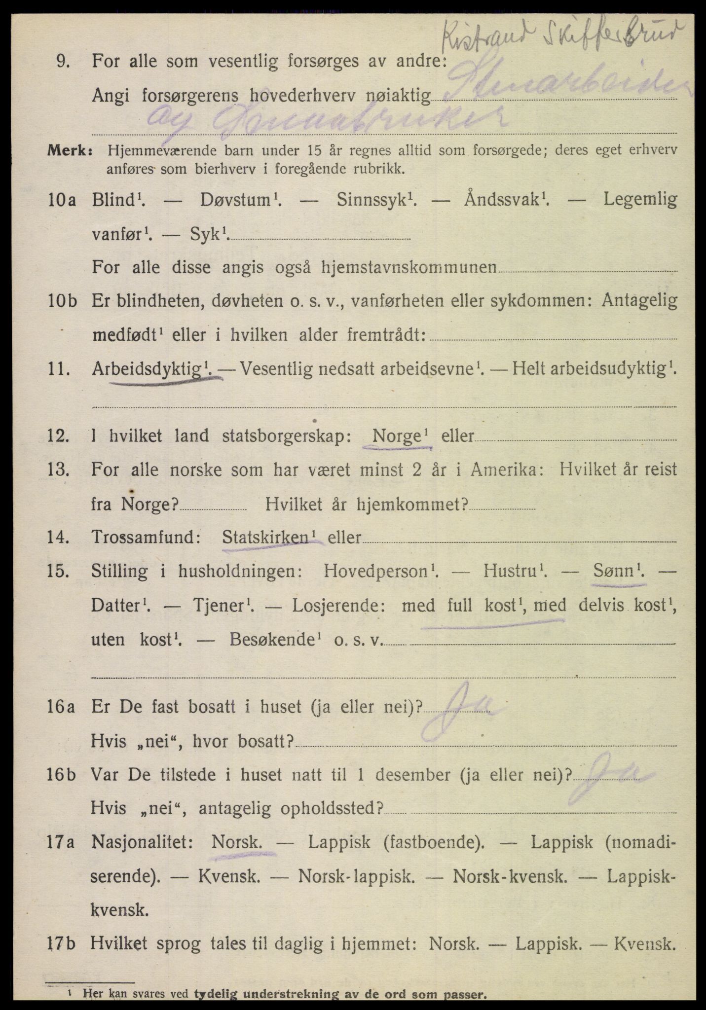 SAT, 1920 census for Fauske, 1920, p. 16953