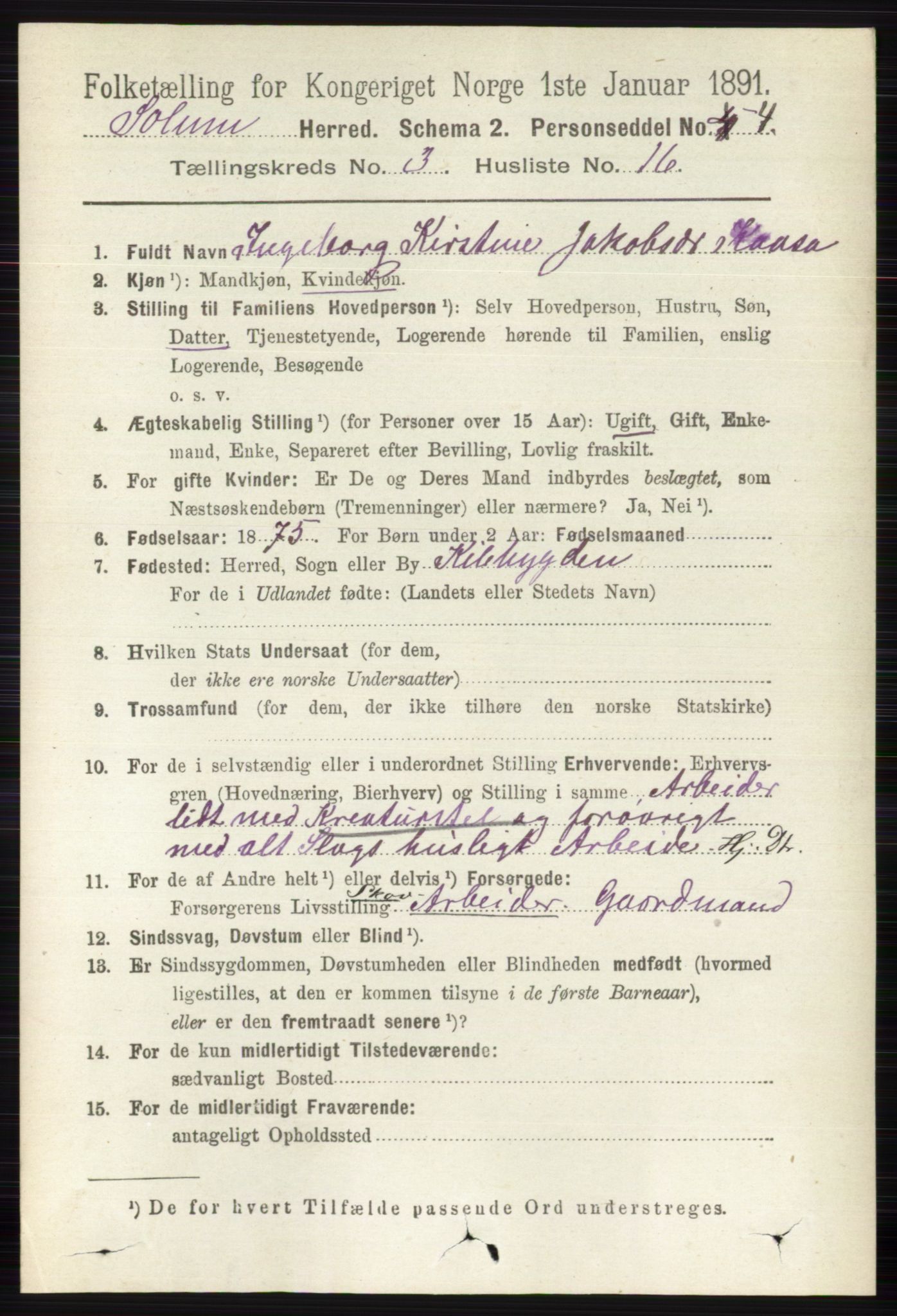 RA, 1891 census for 0818 Solum, 1891, p. 434