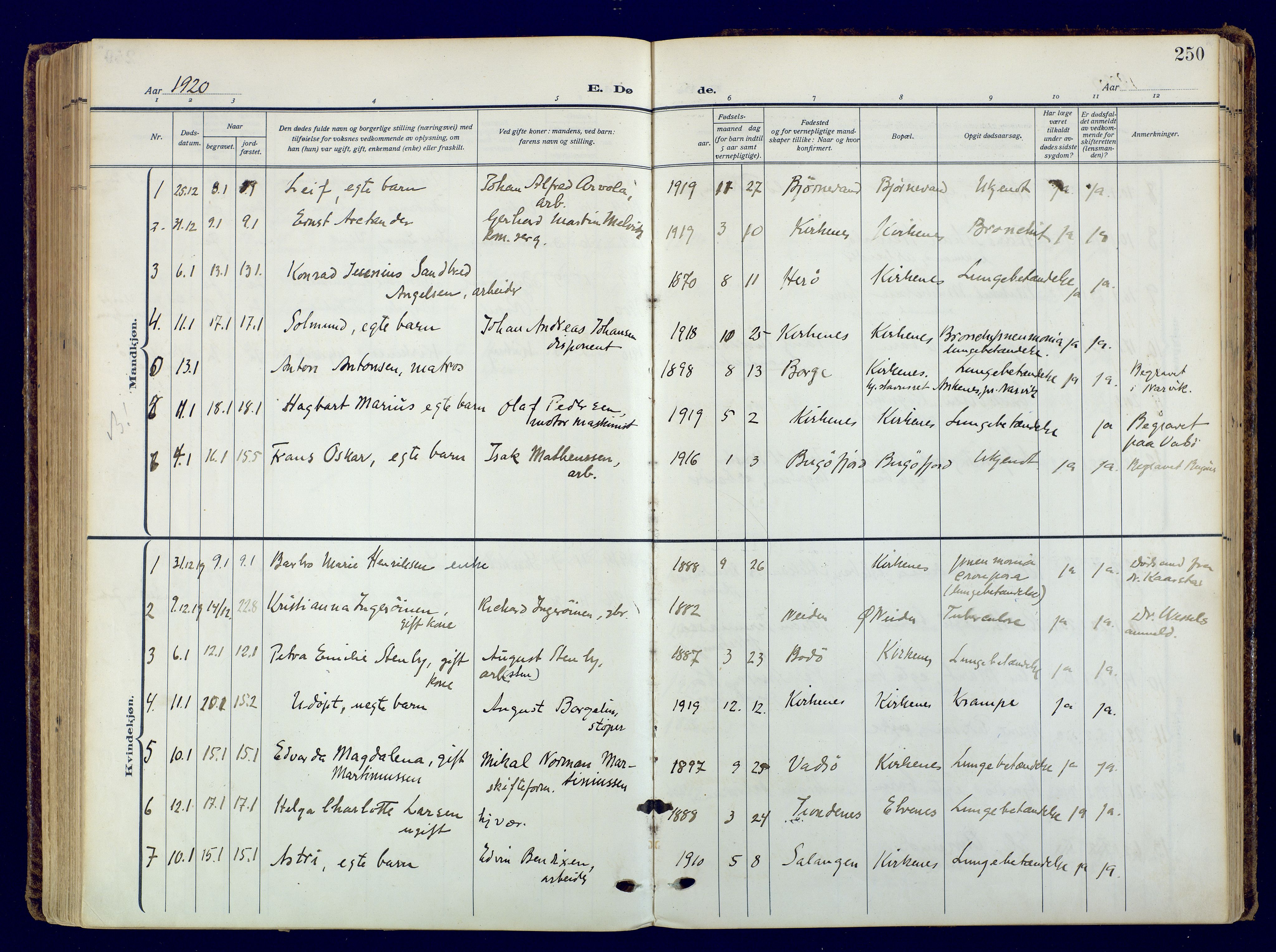 Sør-Varanger sokneprestkontor, AV/SATØ-S-1331/H/Ha/L0006kirke: Parish register (official) no. 6, 1919-1927, p. 250