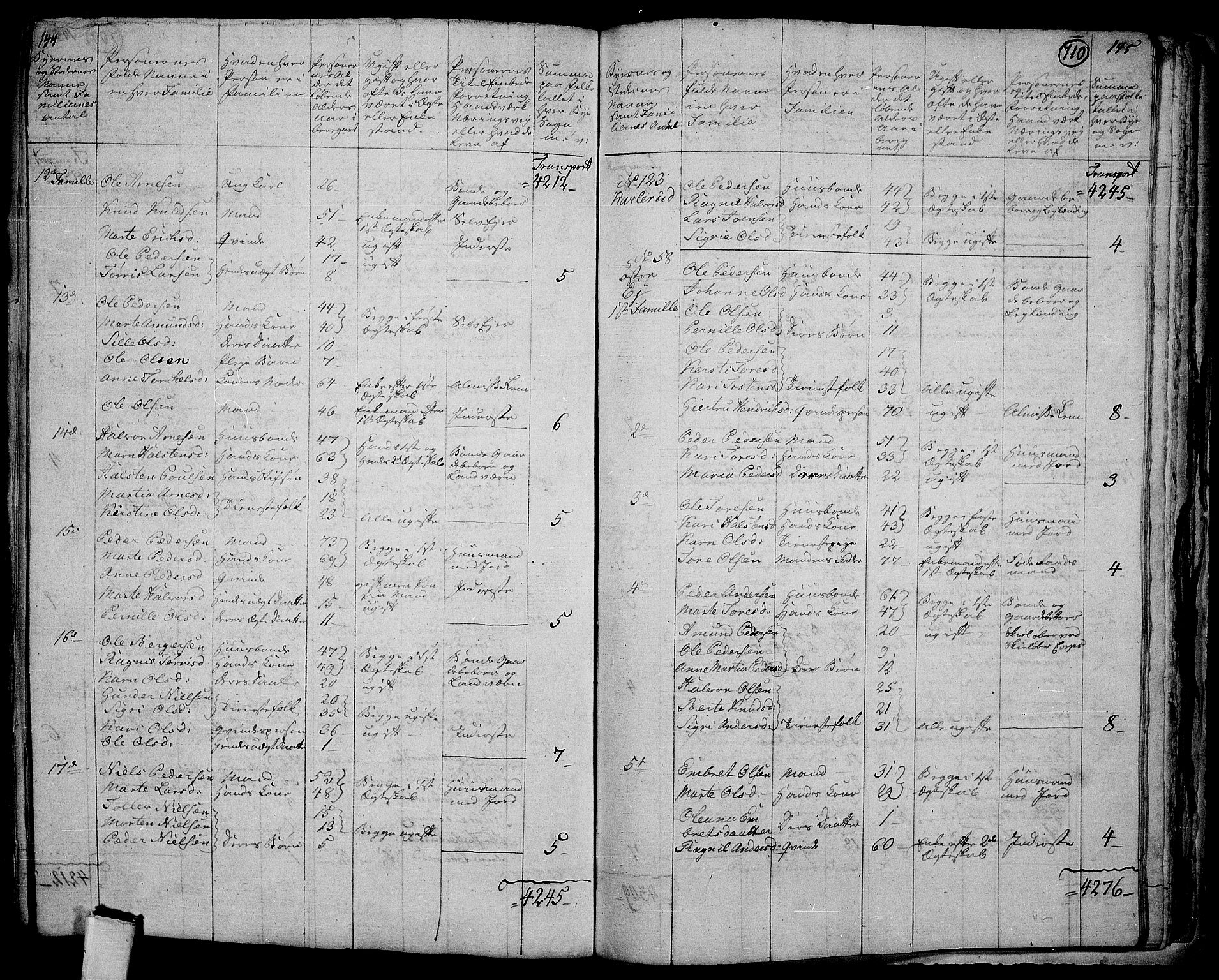 RA, 1801 census for 0424P Hof, 1801, p. 709b-710a