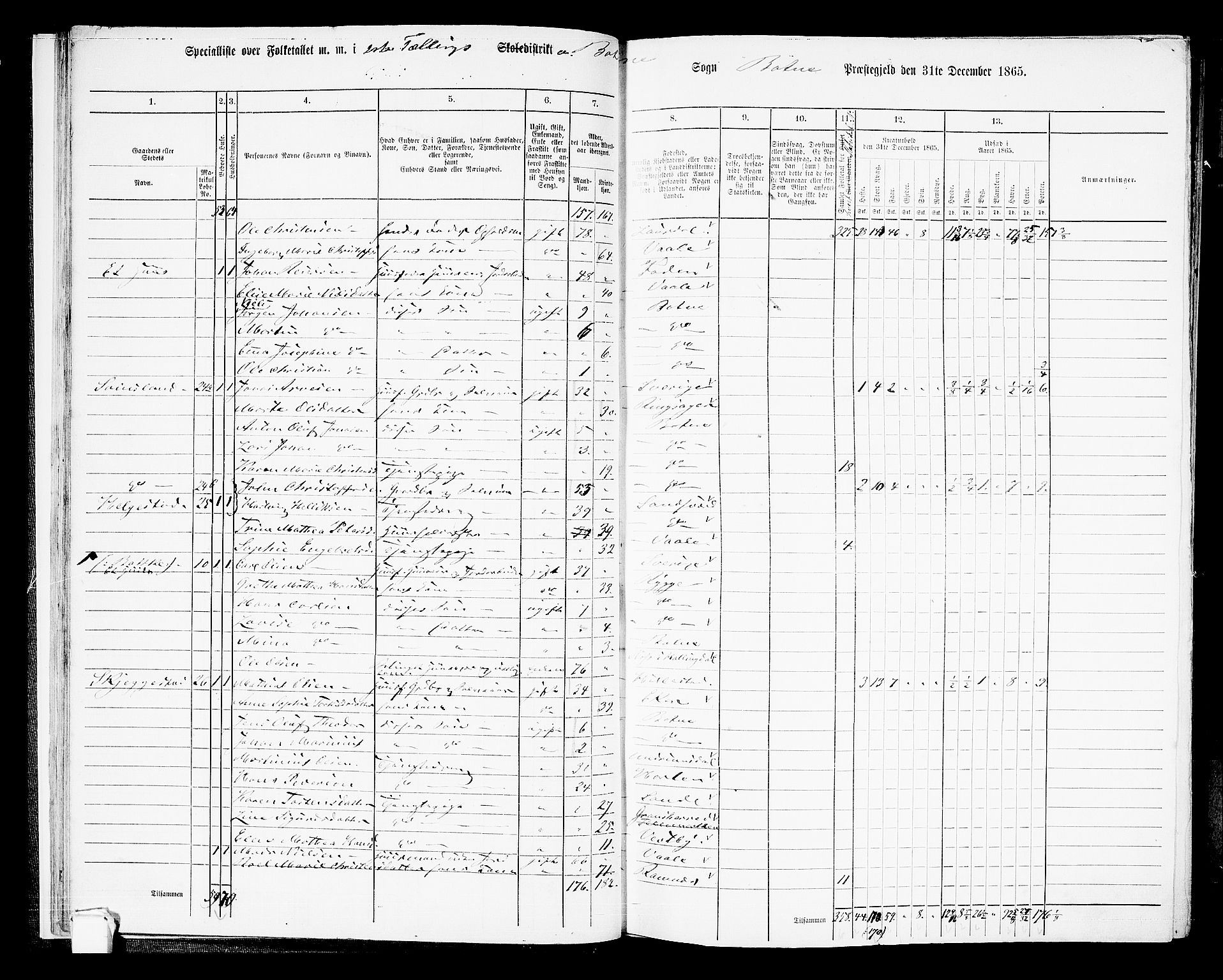 RA, 1865 census for Botne/Botne og Hillestad, 1865, p. 22