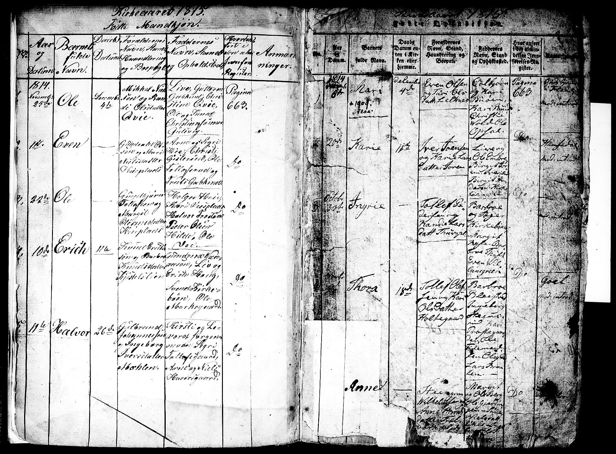 Nes kirkebøker, AV/SAKO-A-236/F/Fa/L0007: Parish register (official) no. 7, 1815-1823, p. 2-3