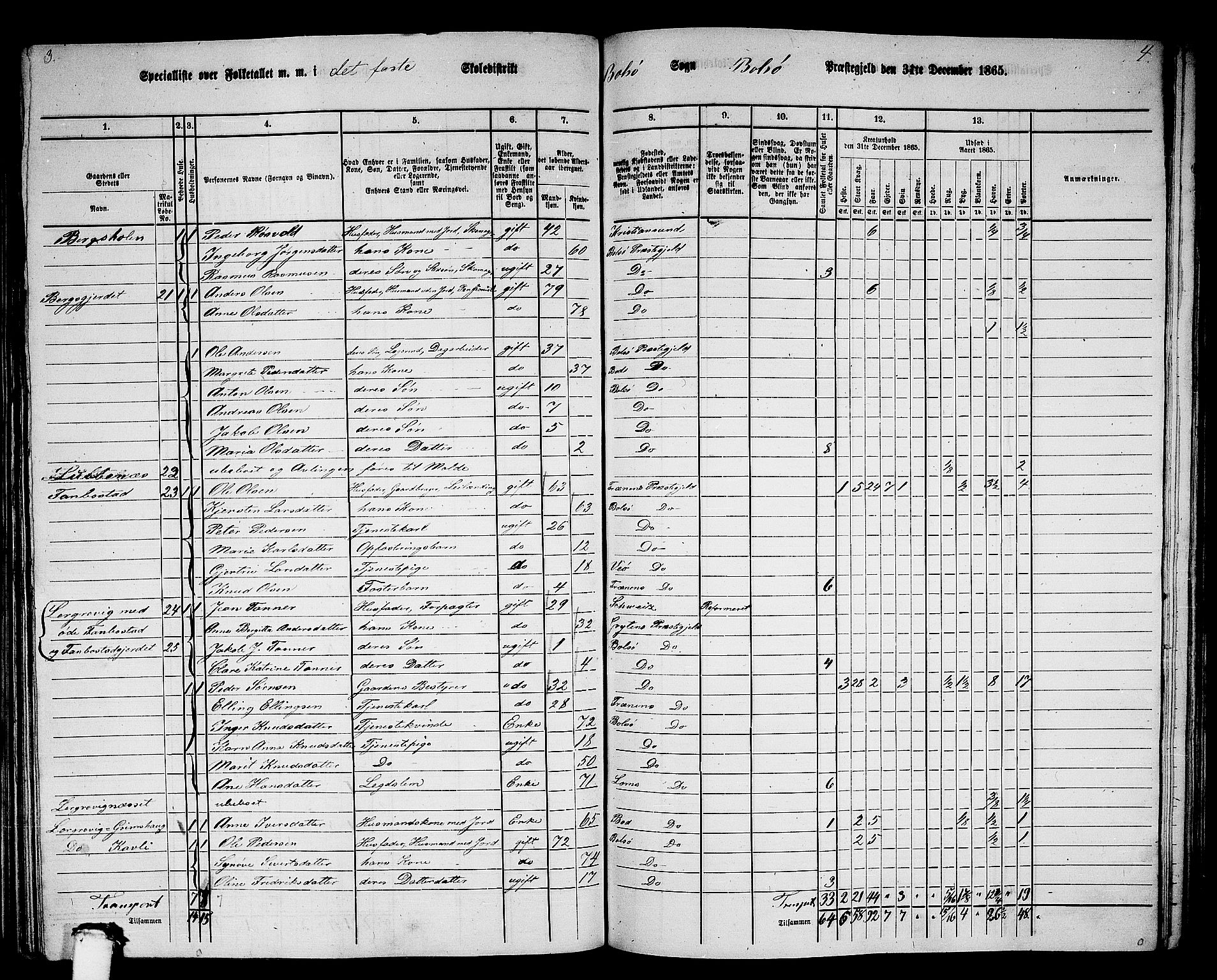 RA, 1865 census for Bolsøy, 1865, p. 34